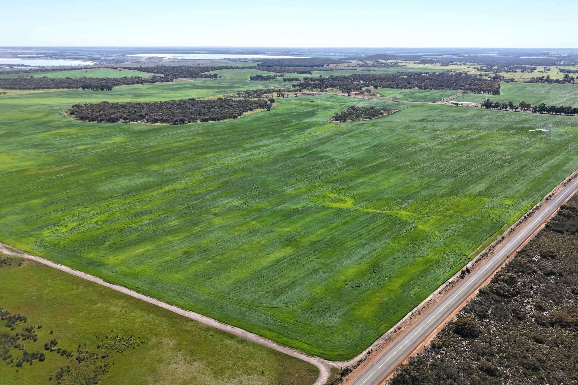 1865 Salt River Road, Cranbrook For Sale by Farmbuy.com - image 8