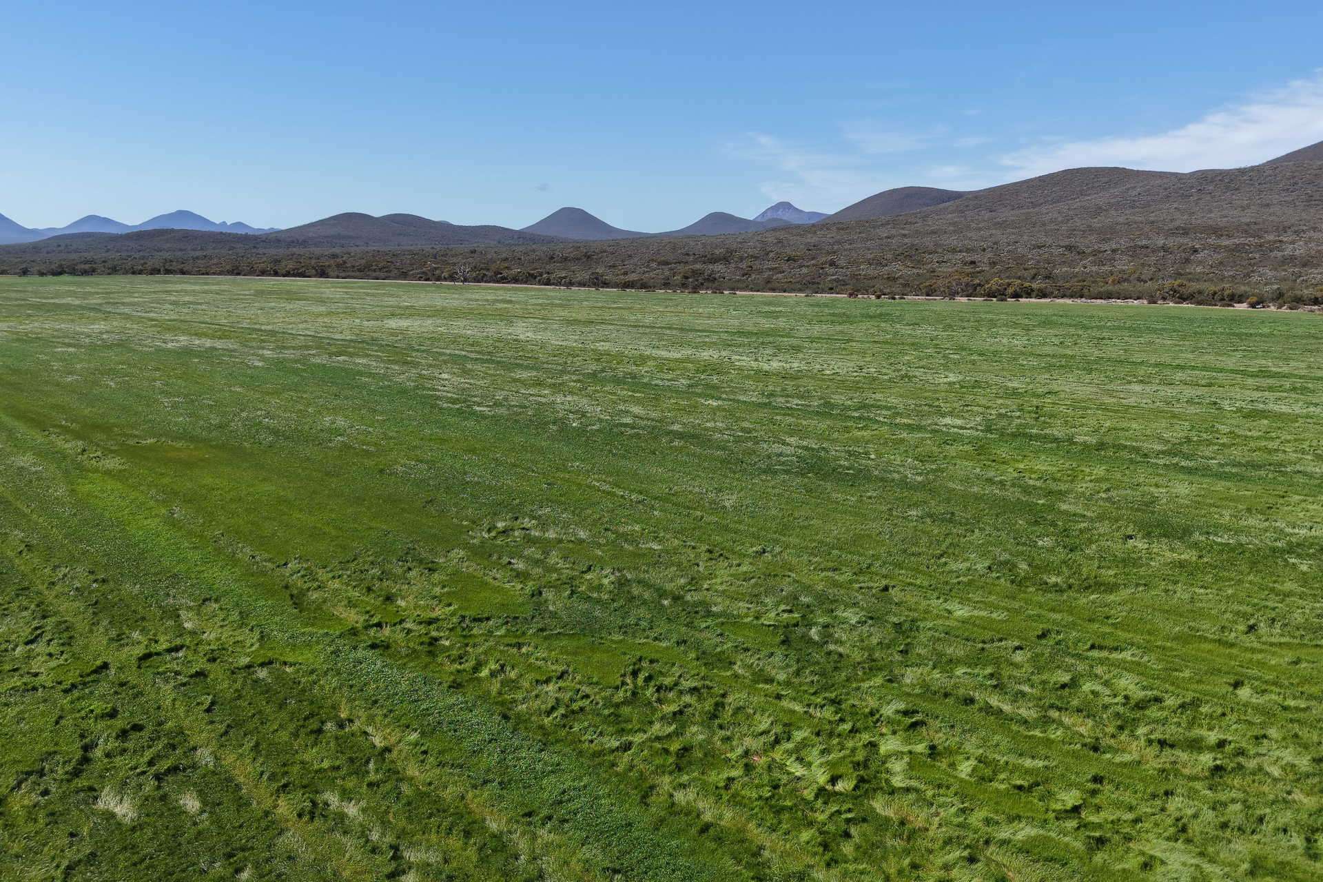 1865 Salt River Road, Cranbrook For Sale by Farmbuy.com - image 15
