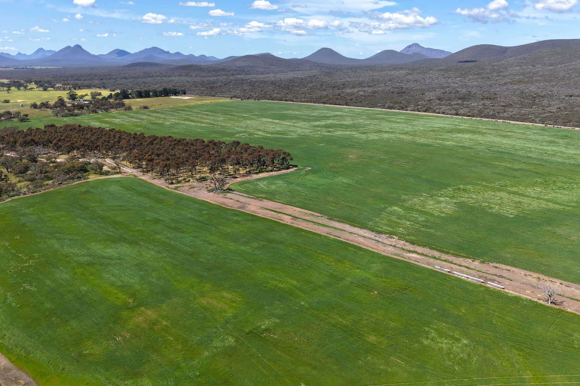 1865 Salt River Road, Cranbrook For Sale by Farmbuy.com - image 6