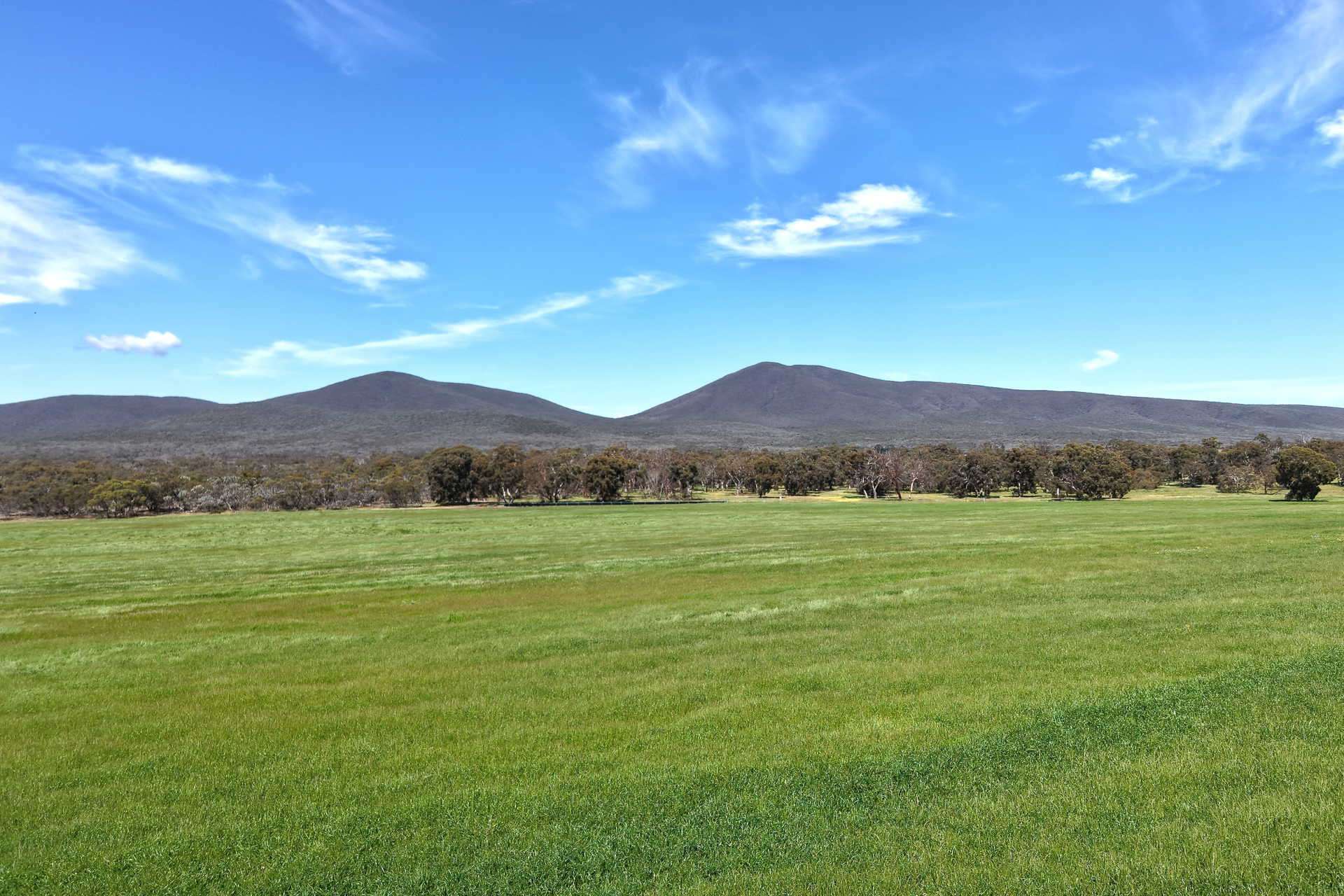 1865 Salt River Road, Cranbrook For Sale by Farmbuy.com - image 4
