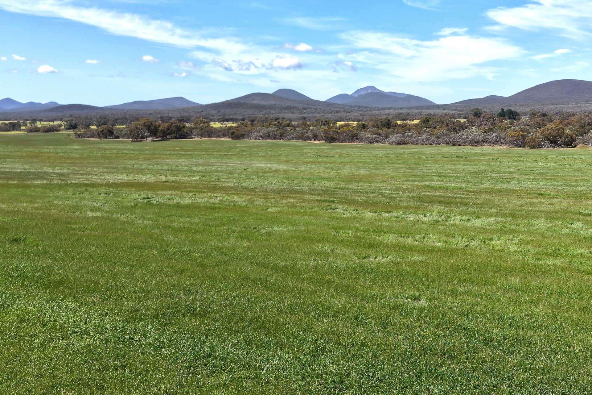 1865 Salt River Road, Cranbrook For Sale by Farmbuy.com - image 12