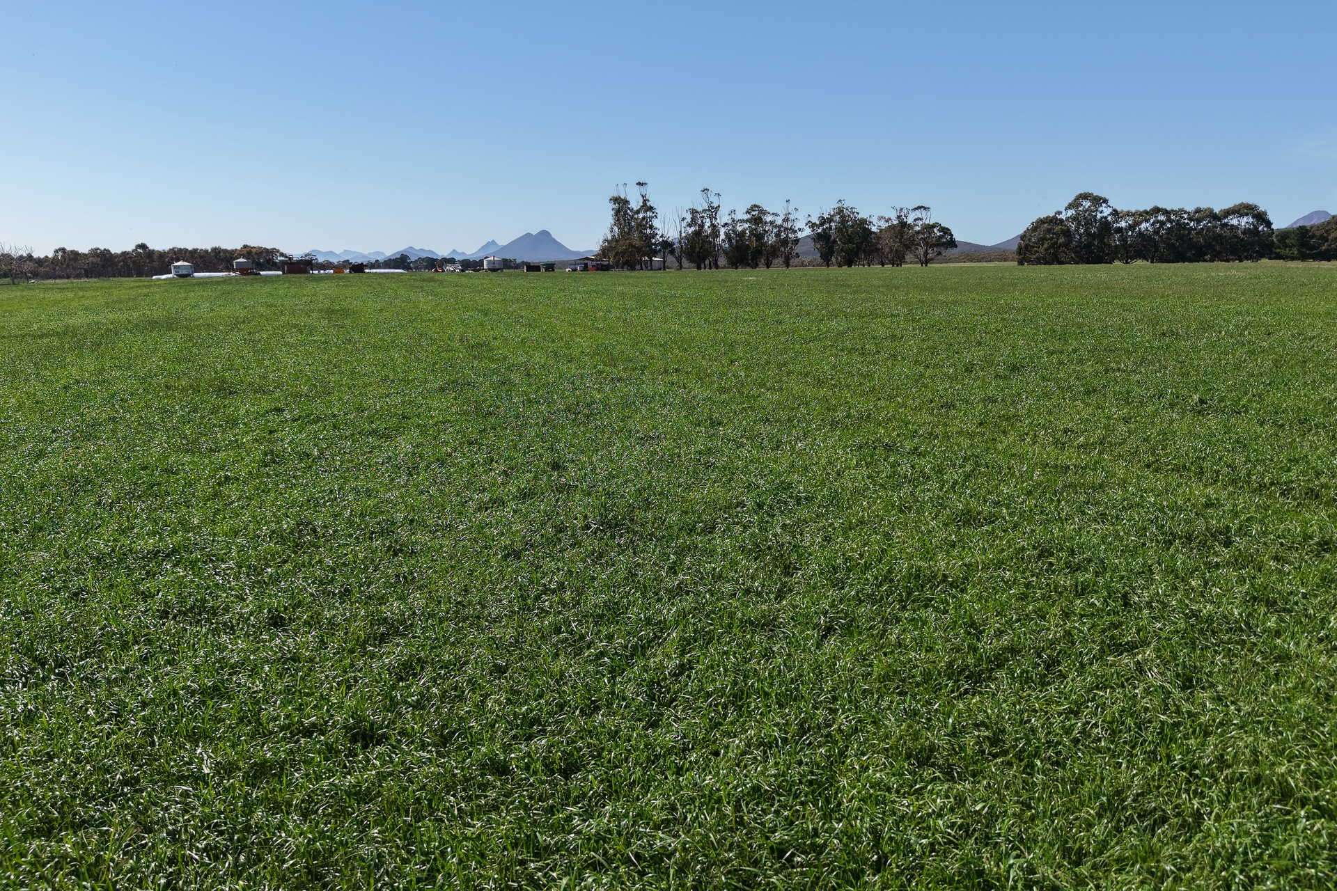 1865 Salt River Road, Cranbrook For Sale by Farmbuy.com - image 14