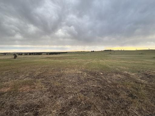Farm For Sale - NSW - Forbes - 2871 - RARE 5-ACRE BLOCK WITH SWEEPING RURAL VIEWS 