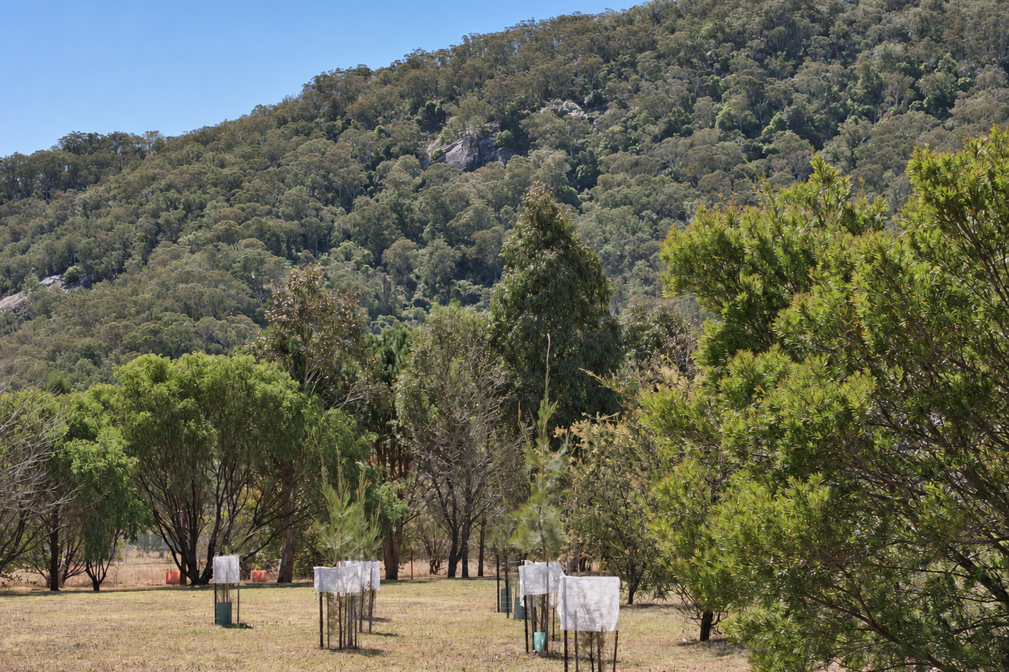 29 Quong Tart Close, Araluen For Sale by Farmbuy.com - image 17