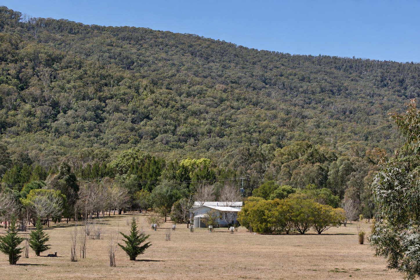 29 Quong Tart Close, Araluen For Sale by Farmbuy.com - image 19