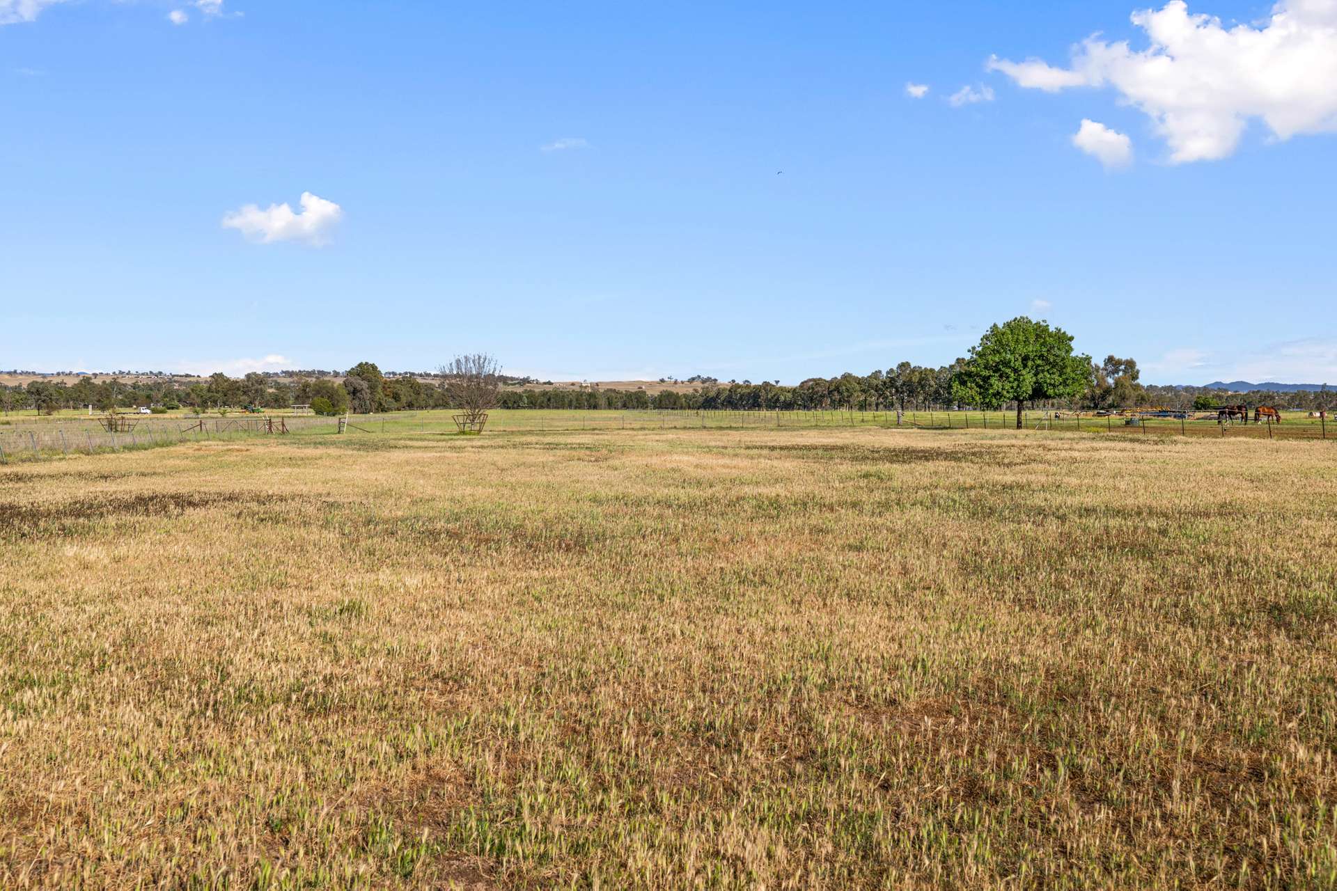 263 Meldorn Lane, Tamworth Auction by Farmbuy.com - image 18