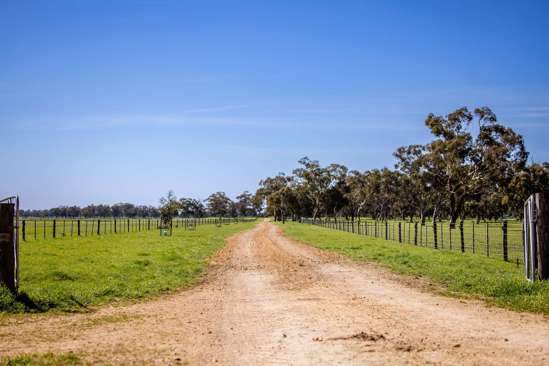 968 Crooked Lane, Bool Lagoon For Sale by Farmbuy.com - image 12