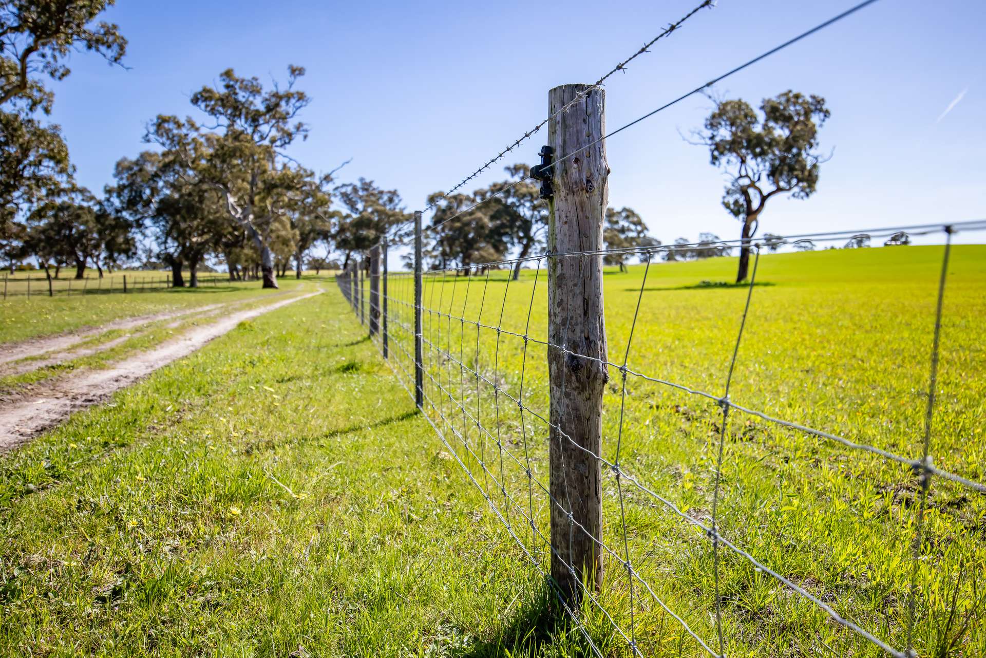 968 Crooked Lane, Bool Lagoon For Sale by Farmbuy.com - image 11