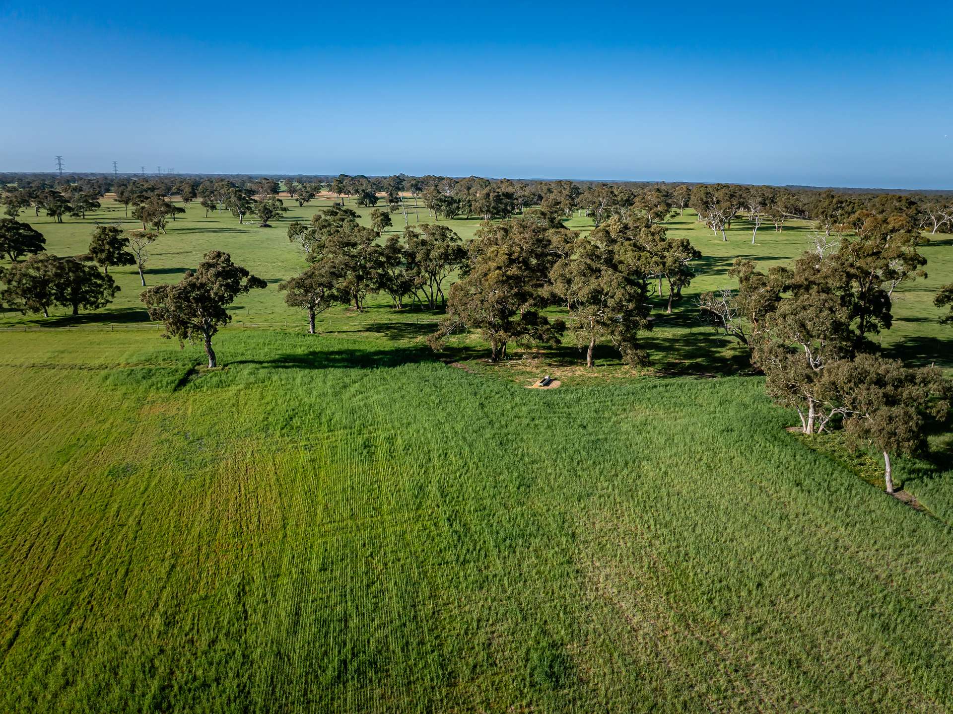 968 Crooked Lane, Bool Lagoon For Sale by Farmbuy.com - image 24