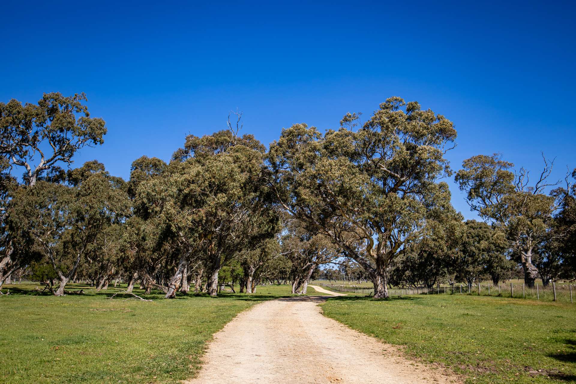 968 Crooked Lane, Bool Lagoon For Sale by Farmbuy.com - image 9