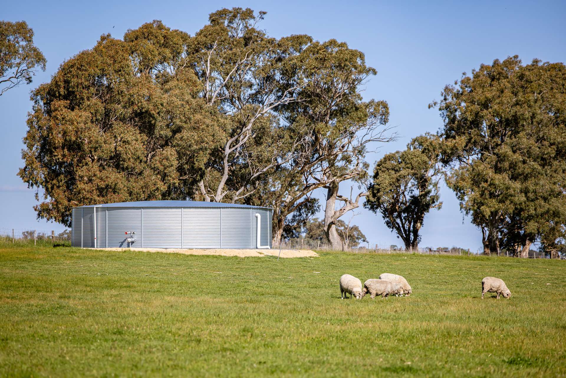 968 Crooked Lane, Bool Lagoon For Sale by Farmbuy.com - image 7