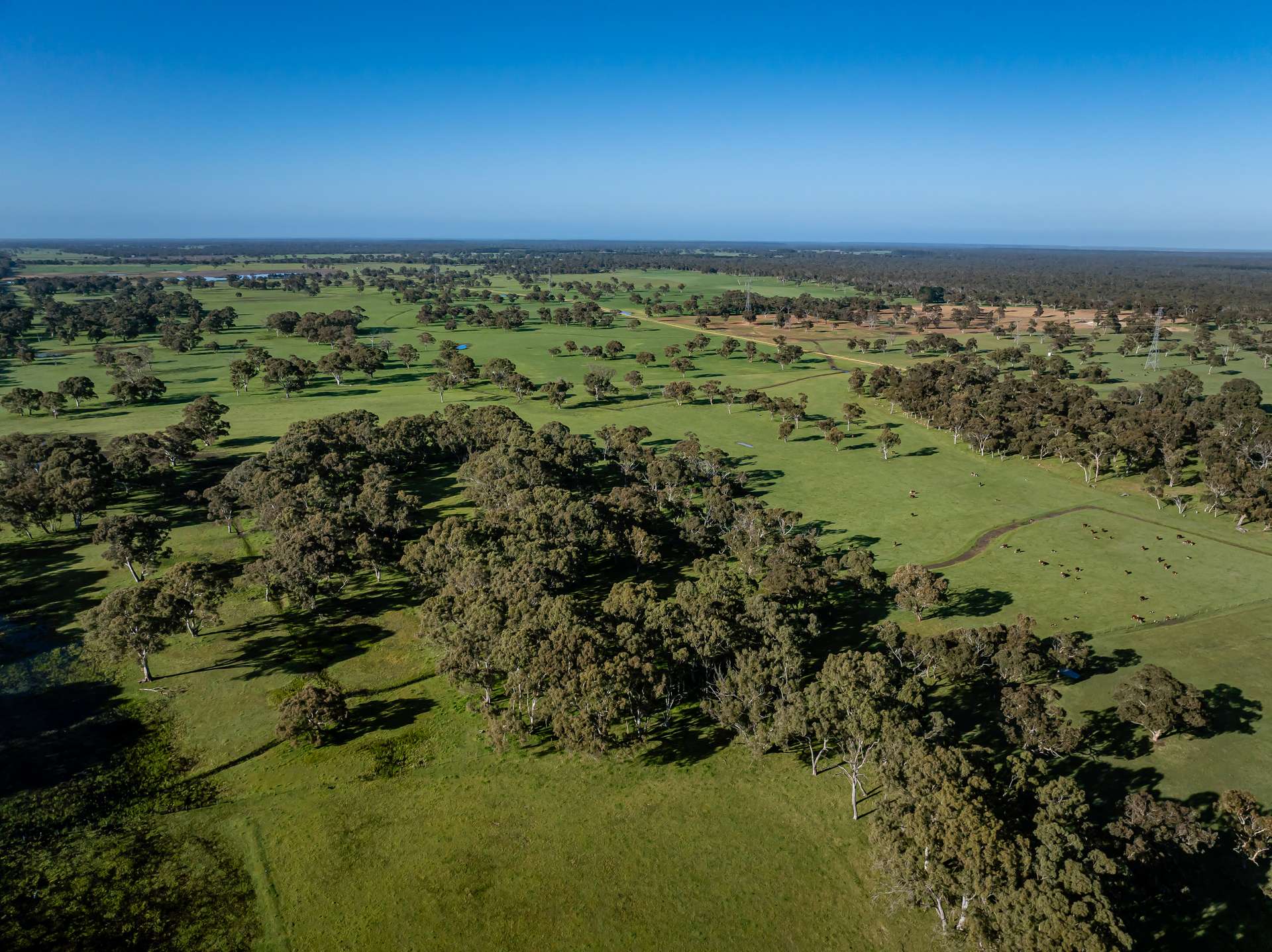968 Crooked Lane, Bool Lagoon For Sale by Farmbuy.com - image 25