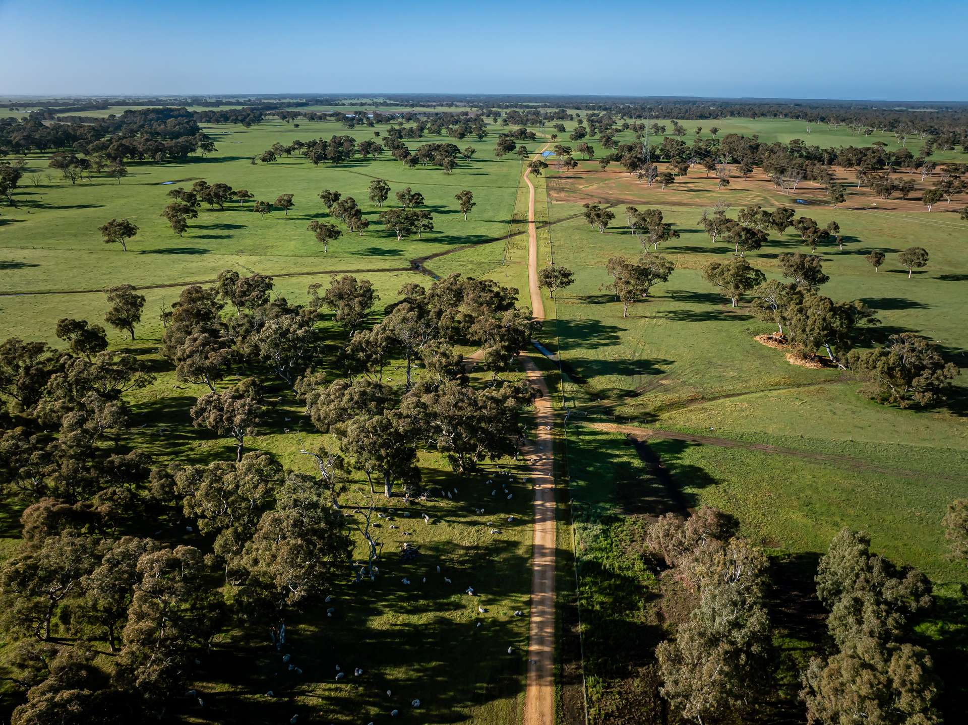 968 Crooked Lane, Bool Lagoon For Sale by Farmbuy.com - image 13