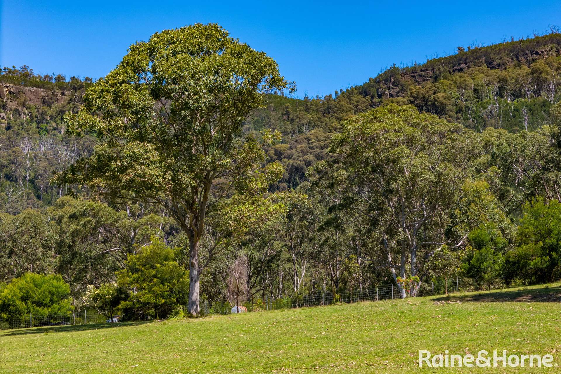 271 Tallowa Dam Road, Kangaroo Valley For Sale by Farmbuy.com - image 9