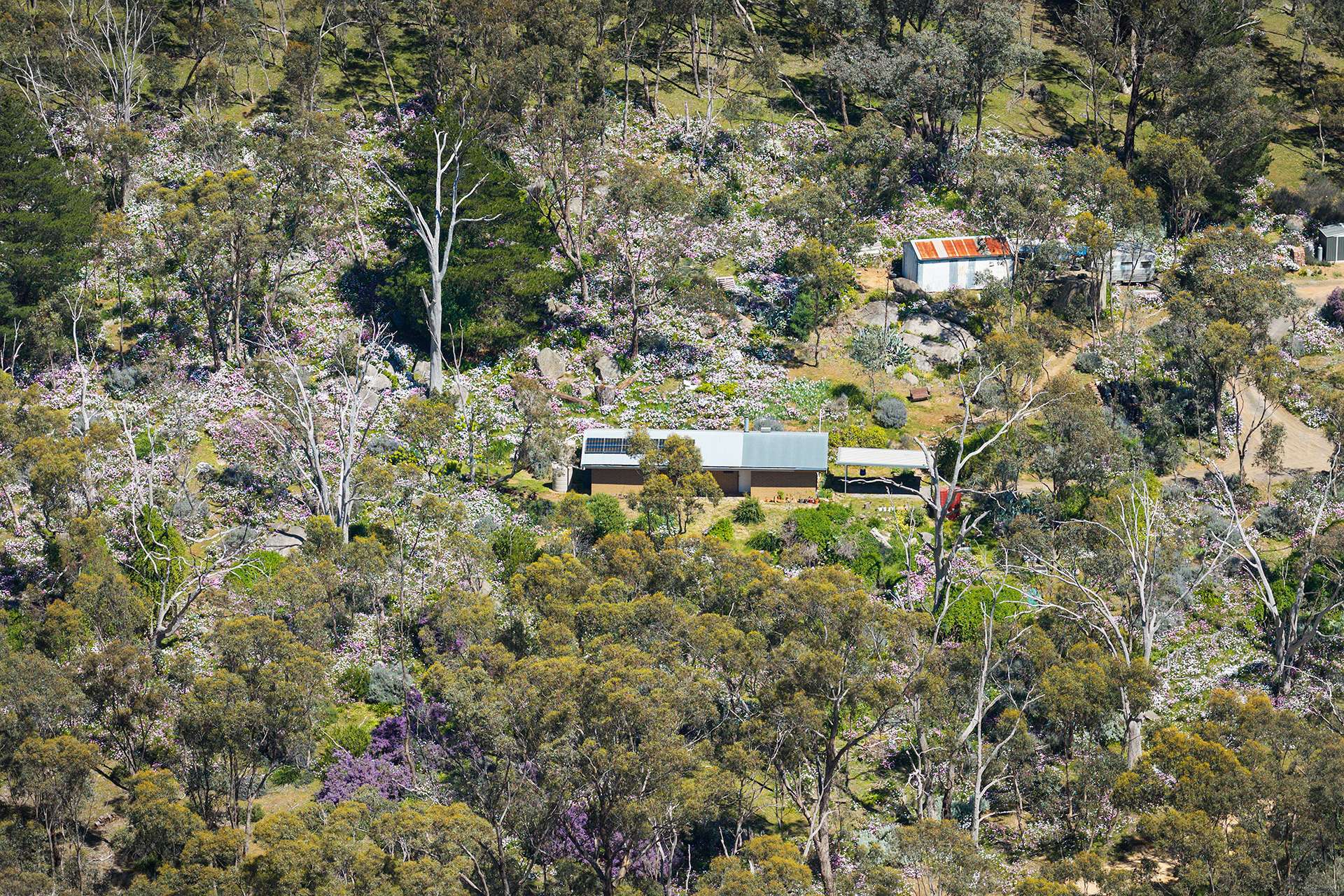 382 Specimen Gully Road, Faraday For Sale by Farmbuy.com - image 21