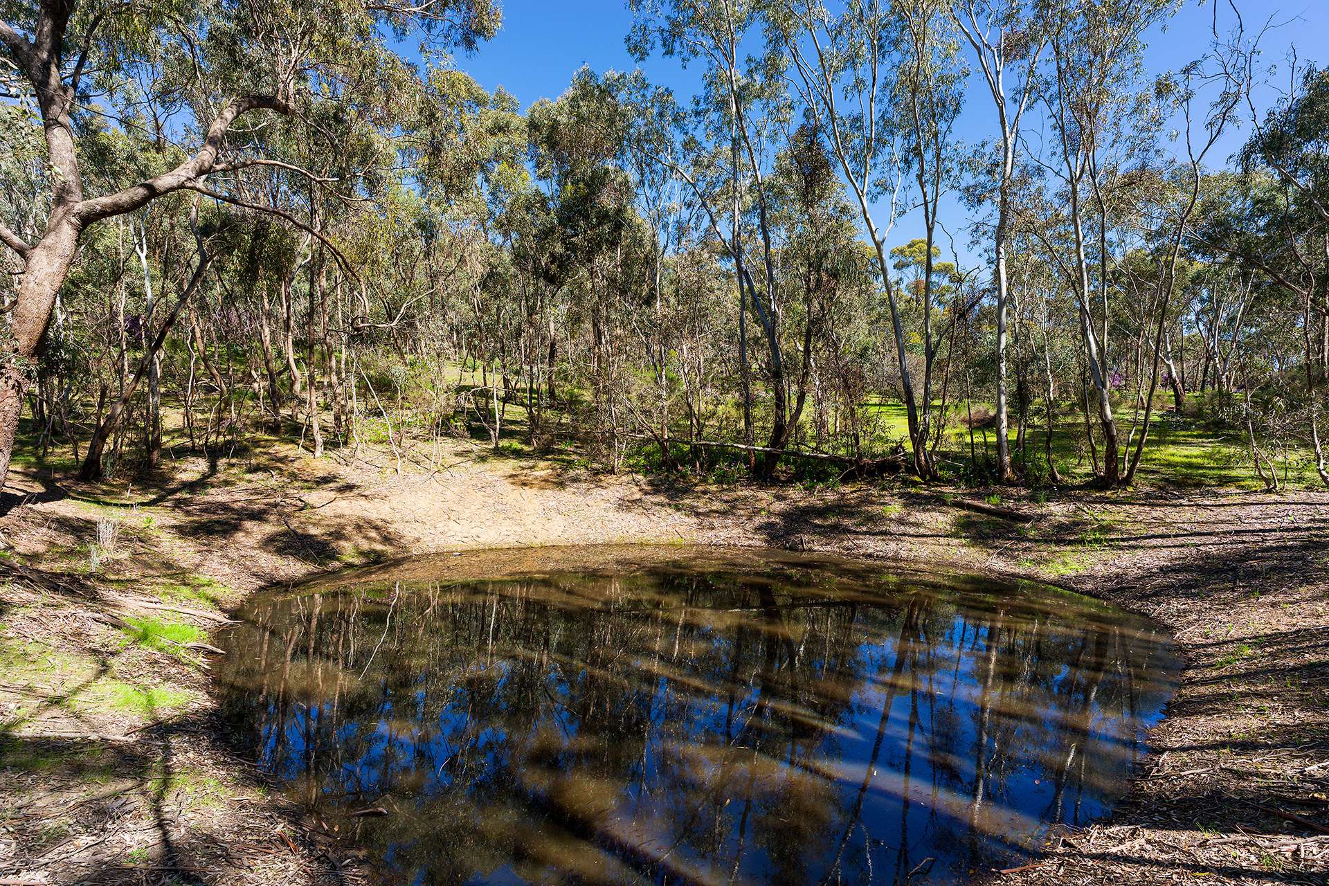 382 Specimen Gully Road, Faraday For Sale by Farmbuy.com - image 16