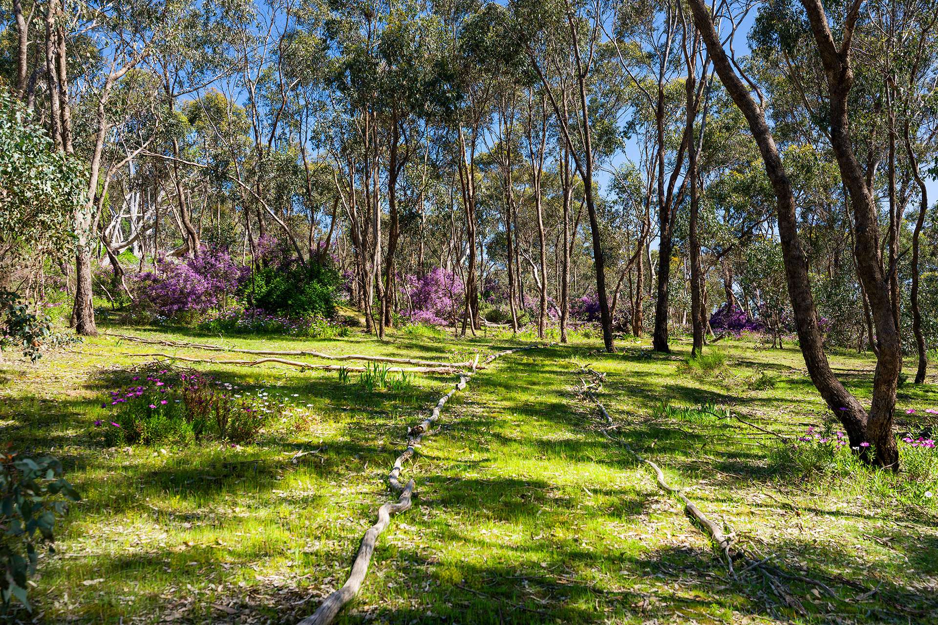 382 Specimen Gully Road, Faraday For Sale by Farmbuy.com - image 15