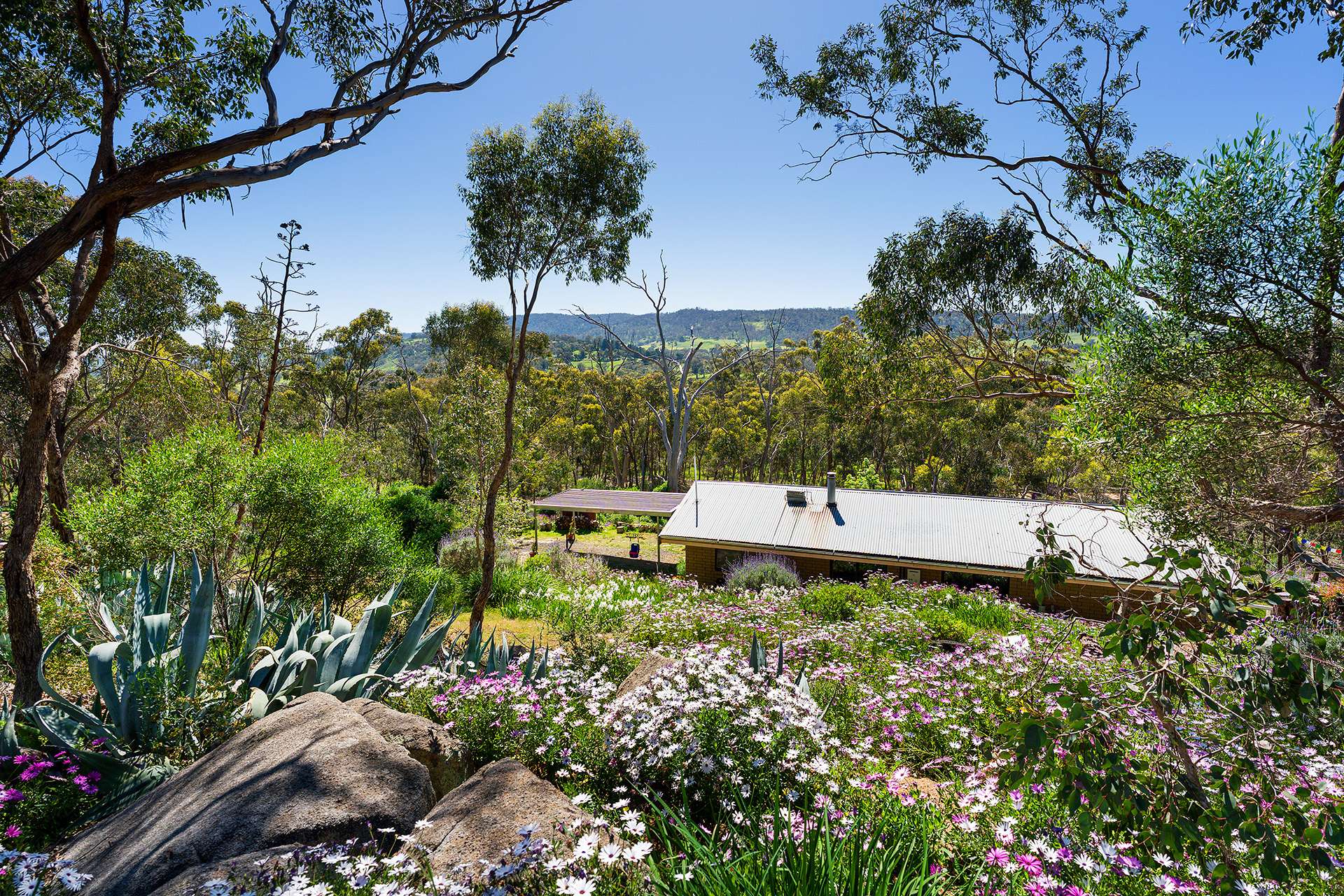 382 Specimen Gully Road, Faraday For Sale by Farmbuy.com - image 4