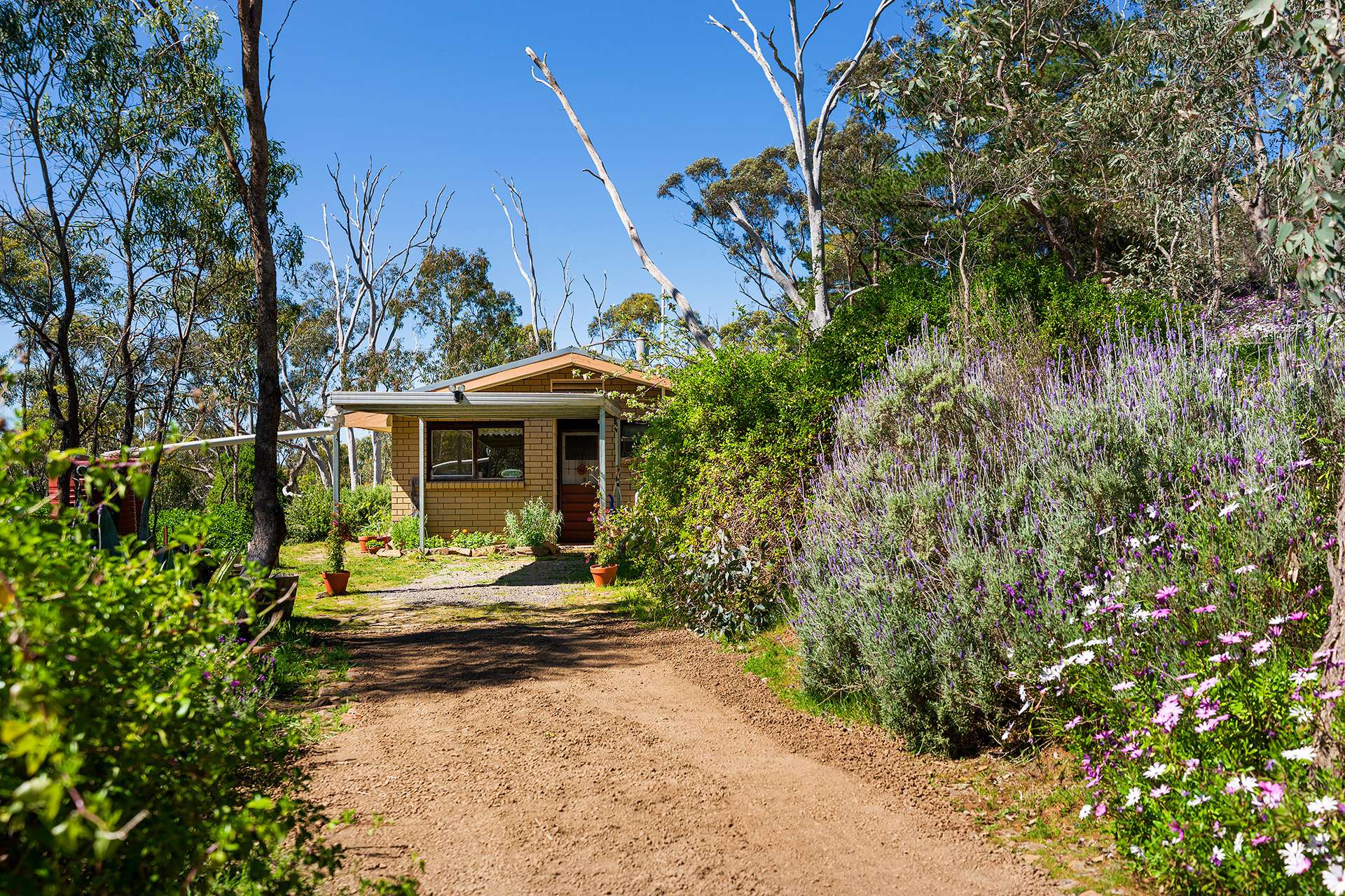 382 Specimen Gully Road, Faraday For Sale by Farmbuy.com - image 5