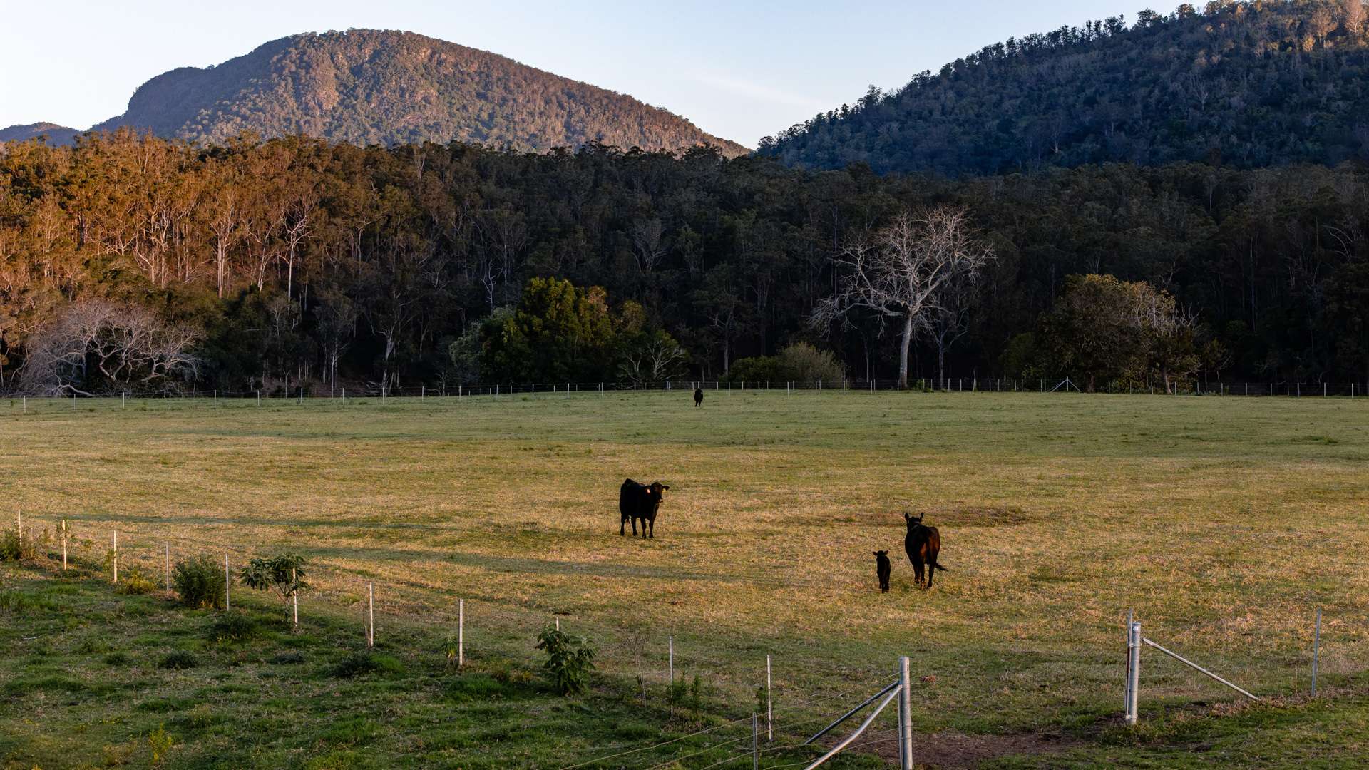 424 Norwood Lane, Mount George For Sale by Farmbuy.com - image 3