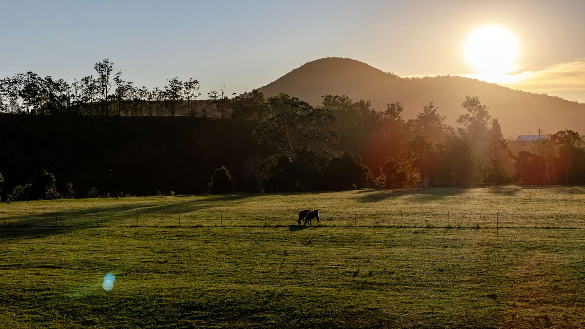 424 Norwood Lane, Mount George For Sale by Farmbuy.com - image 31