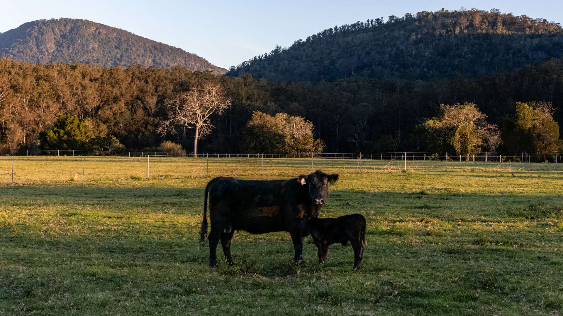 424 Norwood Lane, Mount George For Sale by Farmbuy.com - image 26