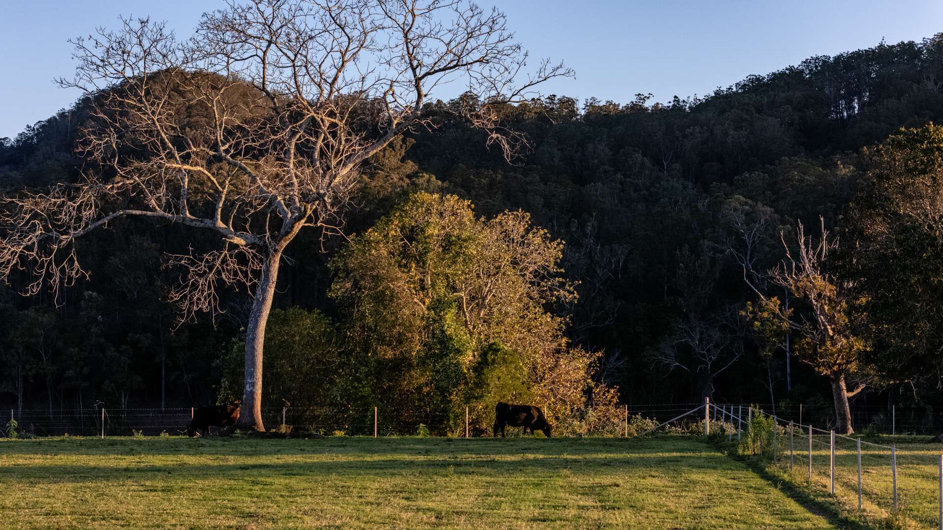 424 Norwood Lane, Mount George For Sale by Farmbuy.com - image 35