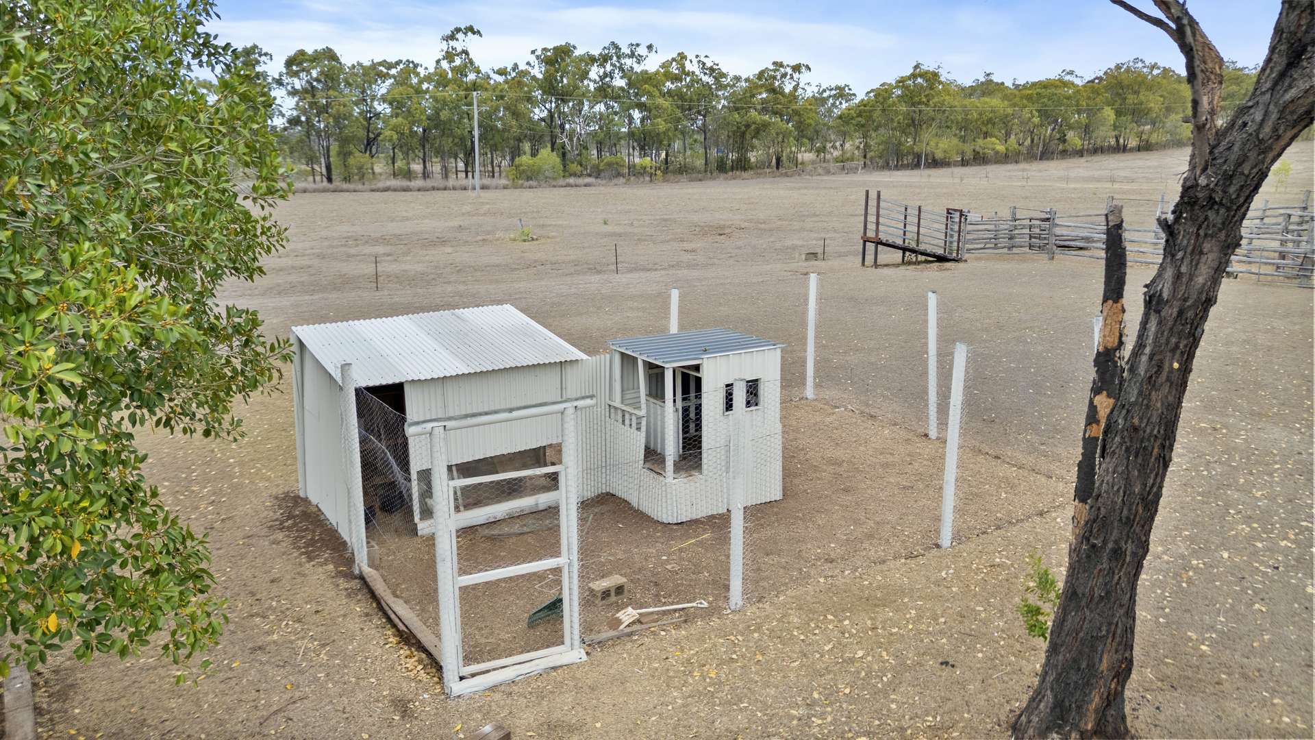 155 Dendles Road, Milman Auction by Farmbuy.com - image 12