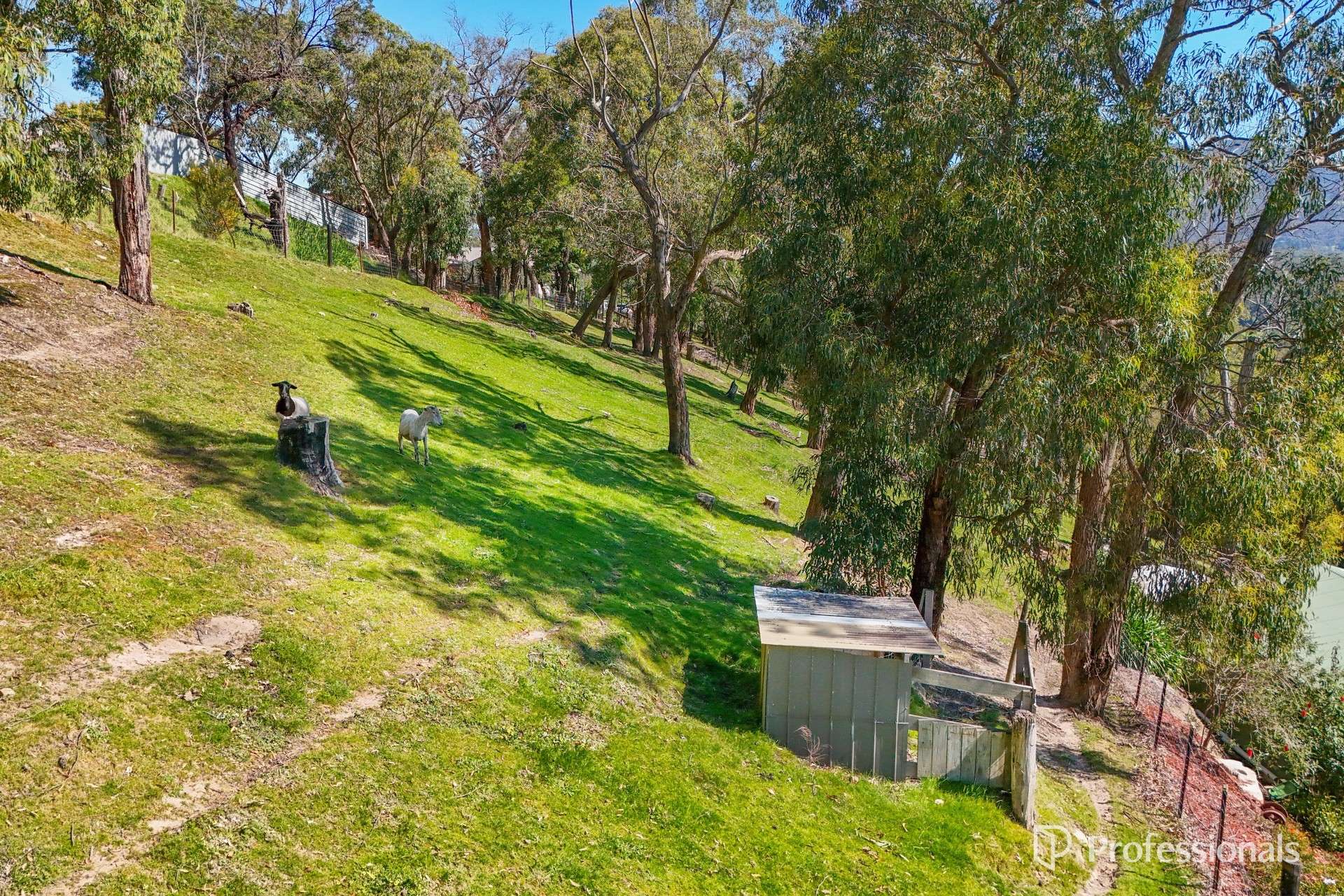 25 Victoria Street, Launching Place For Sale by Farmbuy.com - image 28