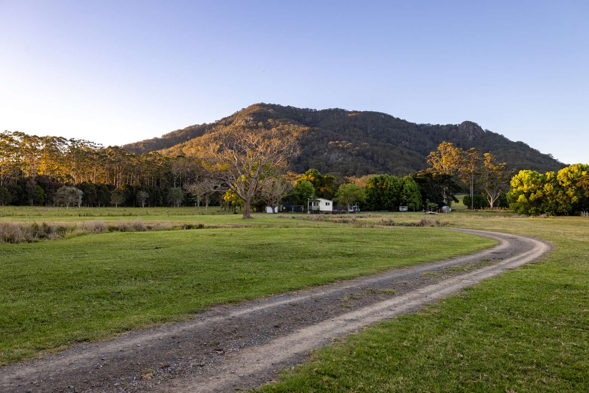 27 Riddles Brush Road, Moorland Auction by Farmbuy.com - image 16