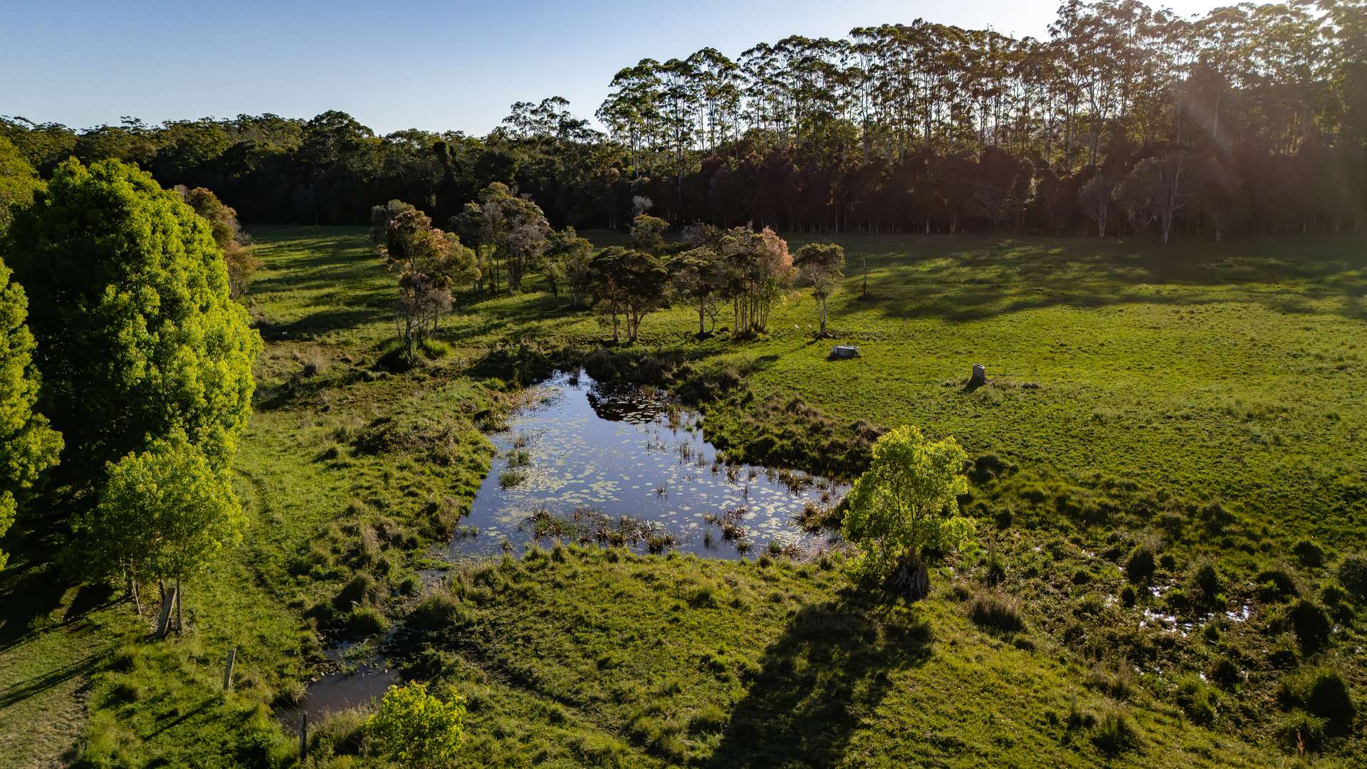 27 Riddles Brush Road, Moorland Auction by Farmbuy.com - image 15