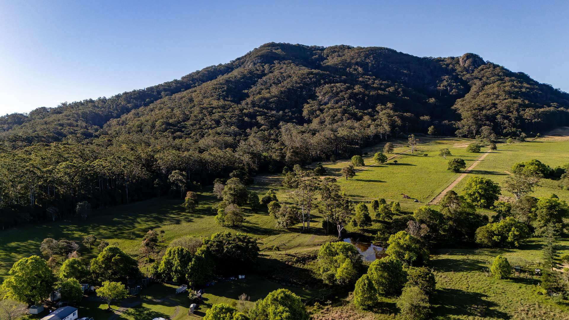 27 Riddles Brush Road, Moorland Auction by Farmbuy.com - image 14