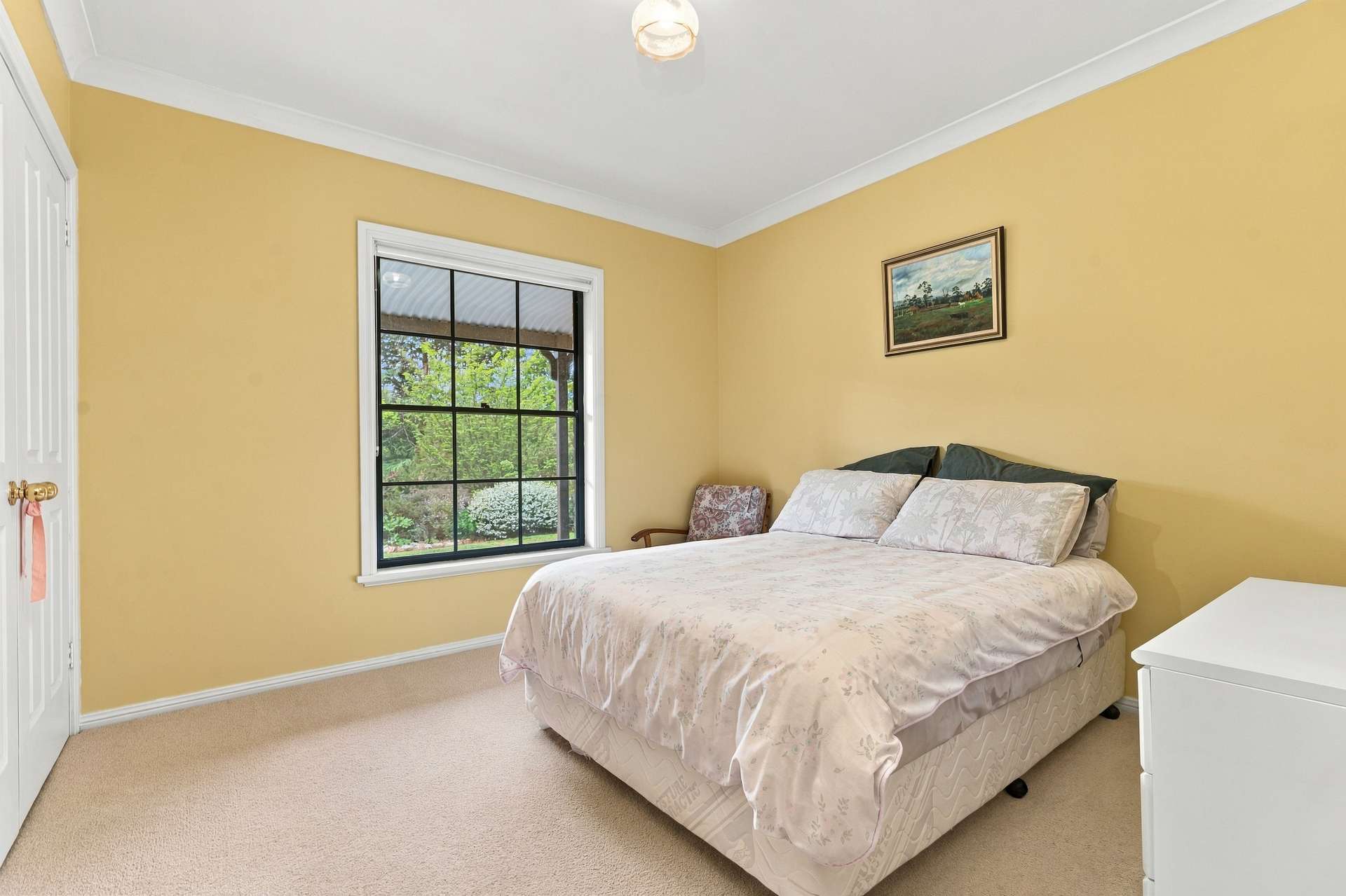 18 Greening Lane Lidster Via, Orange Auction by Farmbuy.com - image 7