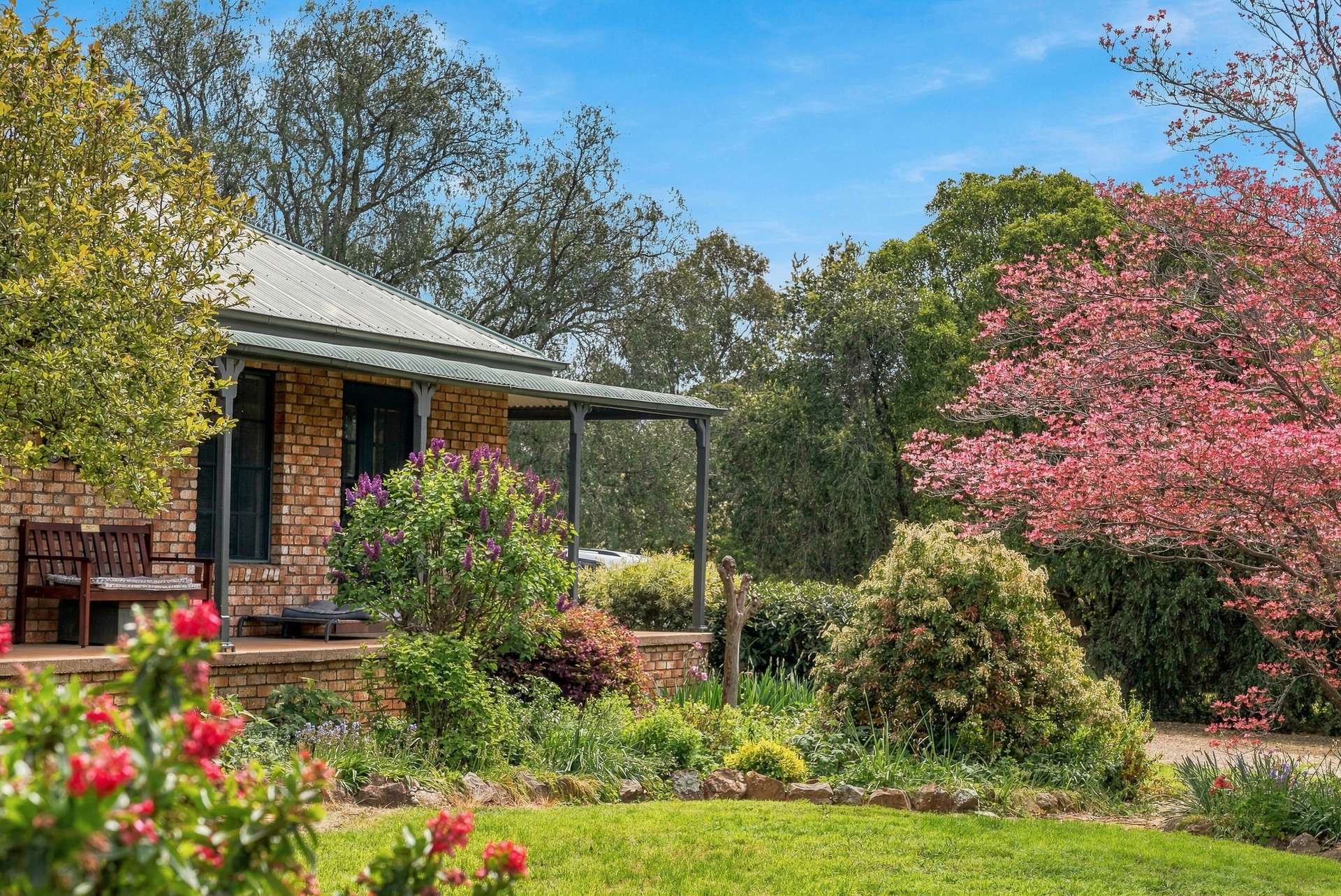 18 Greening Lane Lidster Via, Orange Auction by Farmbuy.com - image 1