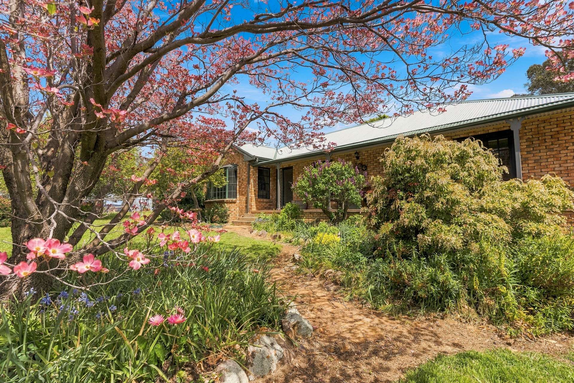 18 Greening Lane Lidster Via, Orange Auction by Farmbuy.com - image 13