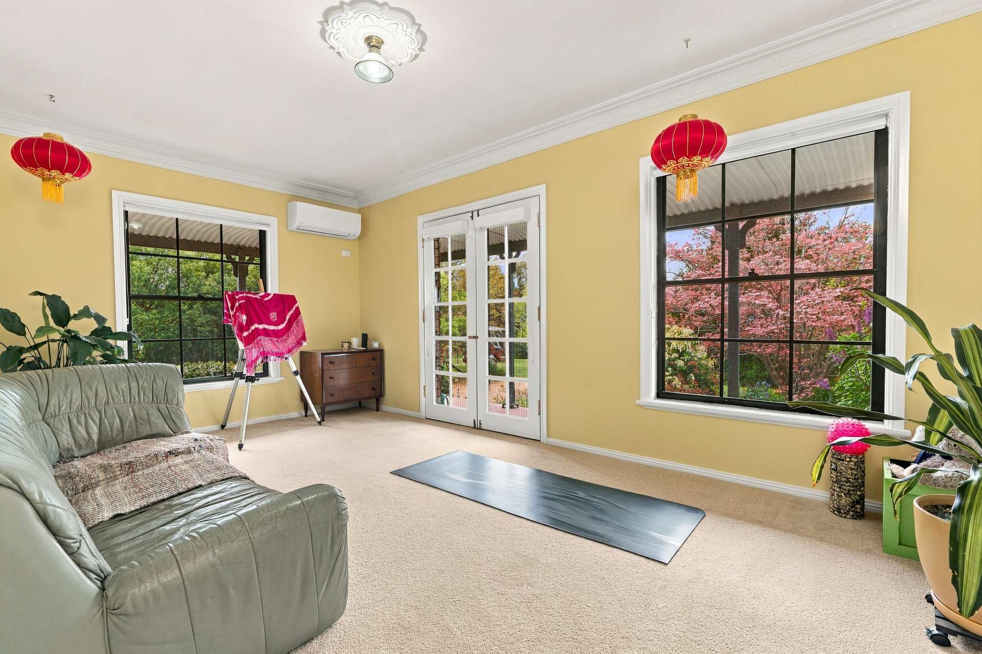 18 Greening Lane Lidster Via, Orange Auction by Farmbuy.com - image 5