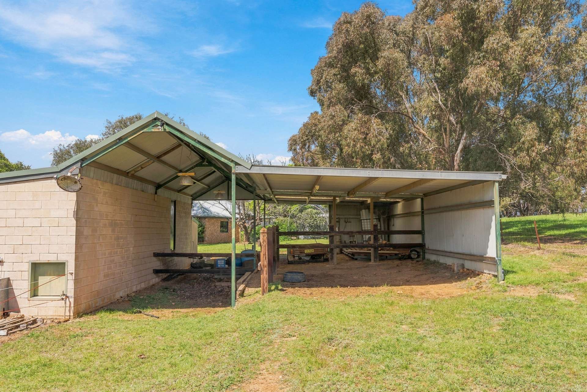 18 Greening Lane Lidster Via, Orange Auction by Farmbuy.com - image 12