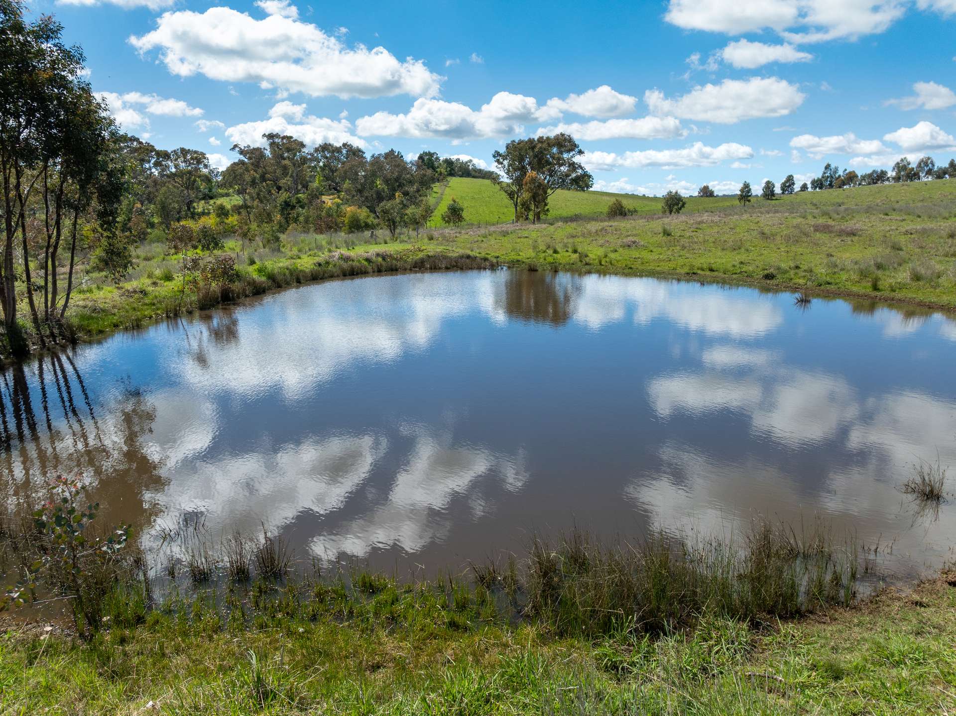 134 Lemmons Road Borenore Via, Orange Auction by Farmbuy.com - image 20