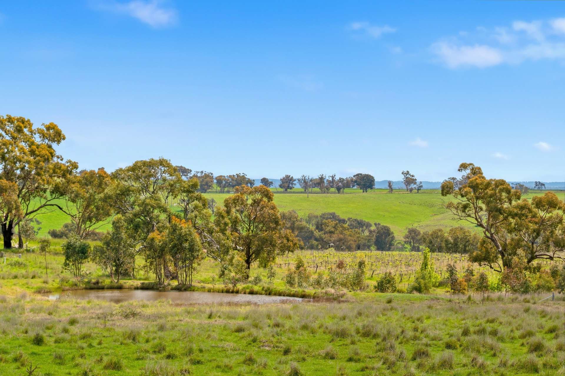 134 Lemmons Road Borenore Via, Orange Auction by Farmbuy.com - image 10