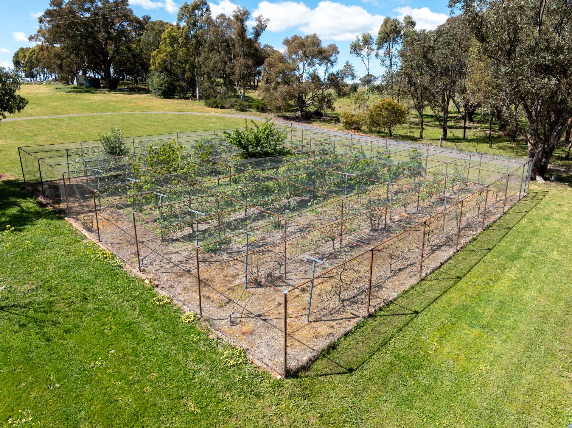 134 Lemmons Road Borenore Via, Orange Auction by Farmbuy.com - image 28