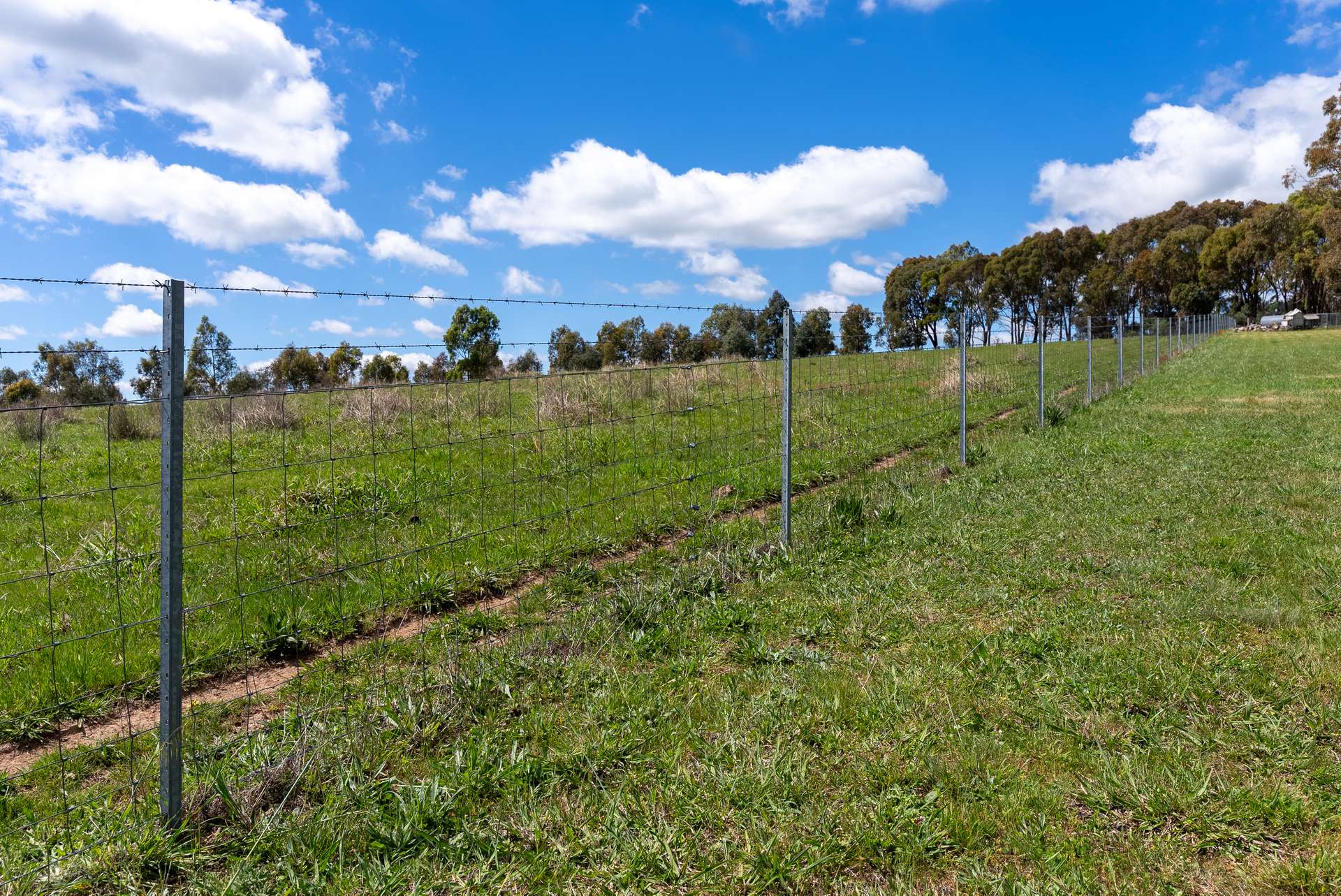 134 Lemmons Road Borenore Via, Orange Auction by Farmbuy.com - image 11