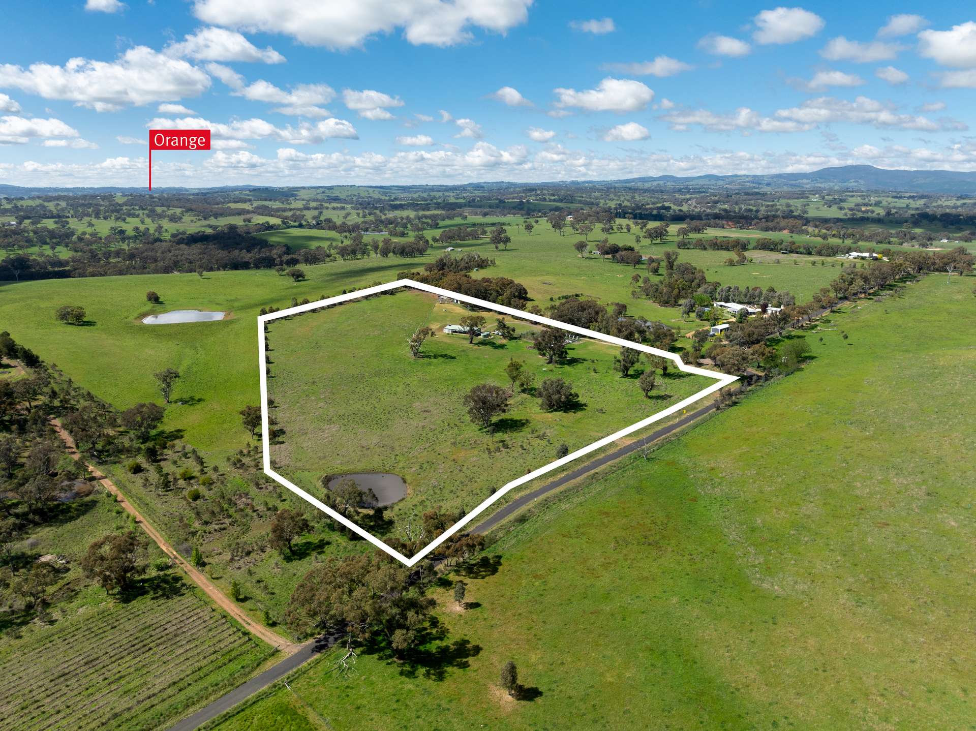 134 Lemmons Road Borenore Via, Orange Auction by Farmbuy.com - image 18