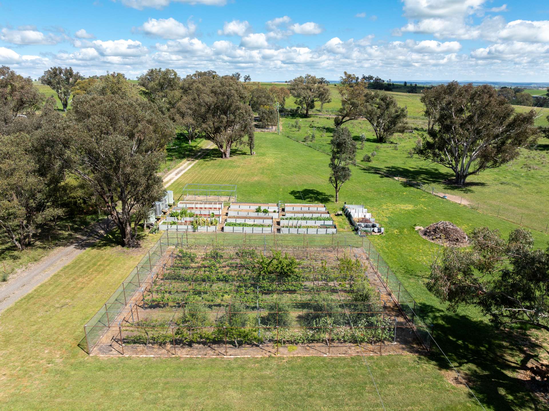134 Lemmons Road Borenore Via, Orange Auction by Farmbuy.com - image 26