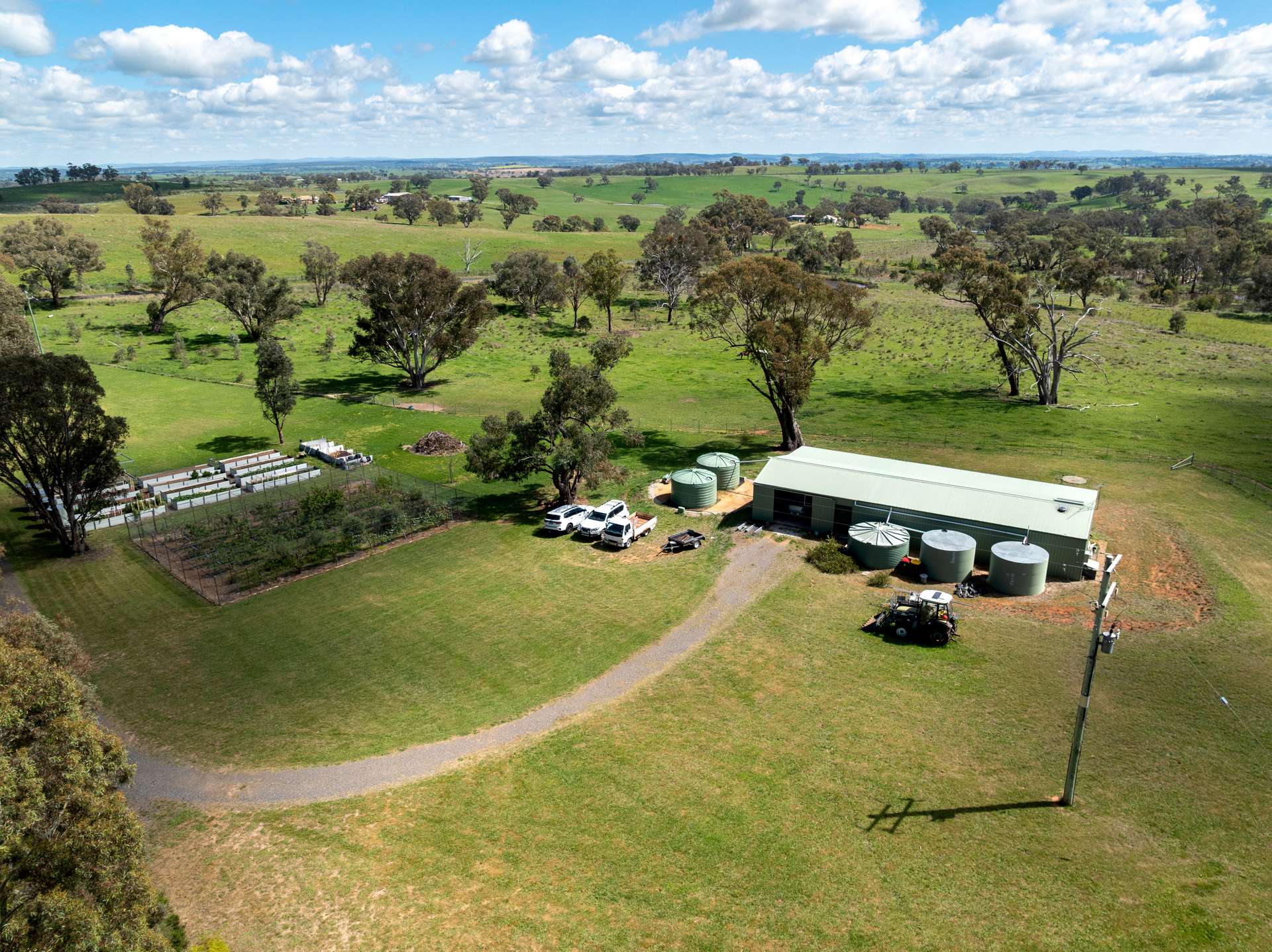 134 Lemmons Road Borenore Via, Orange Auction by Farmbuy.com - image 24