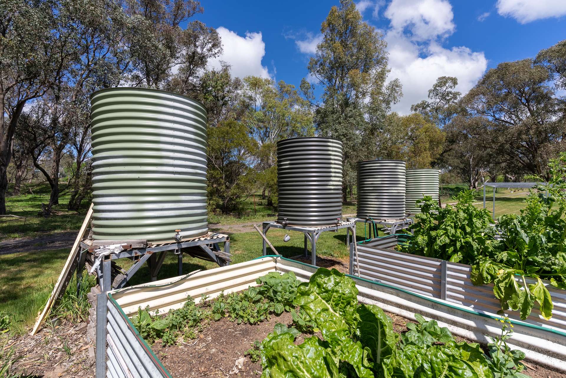 134 Lemmons Road Borenore Via, Orange Auction by Farmbuy.com - image 15