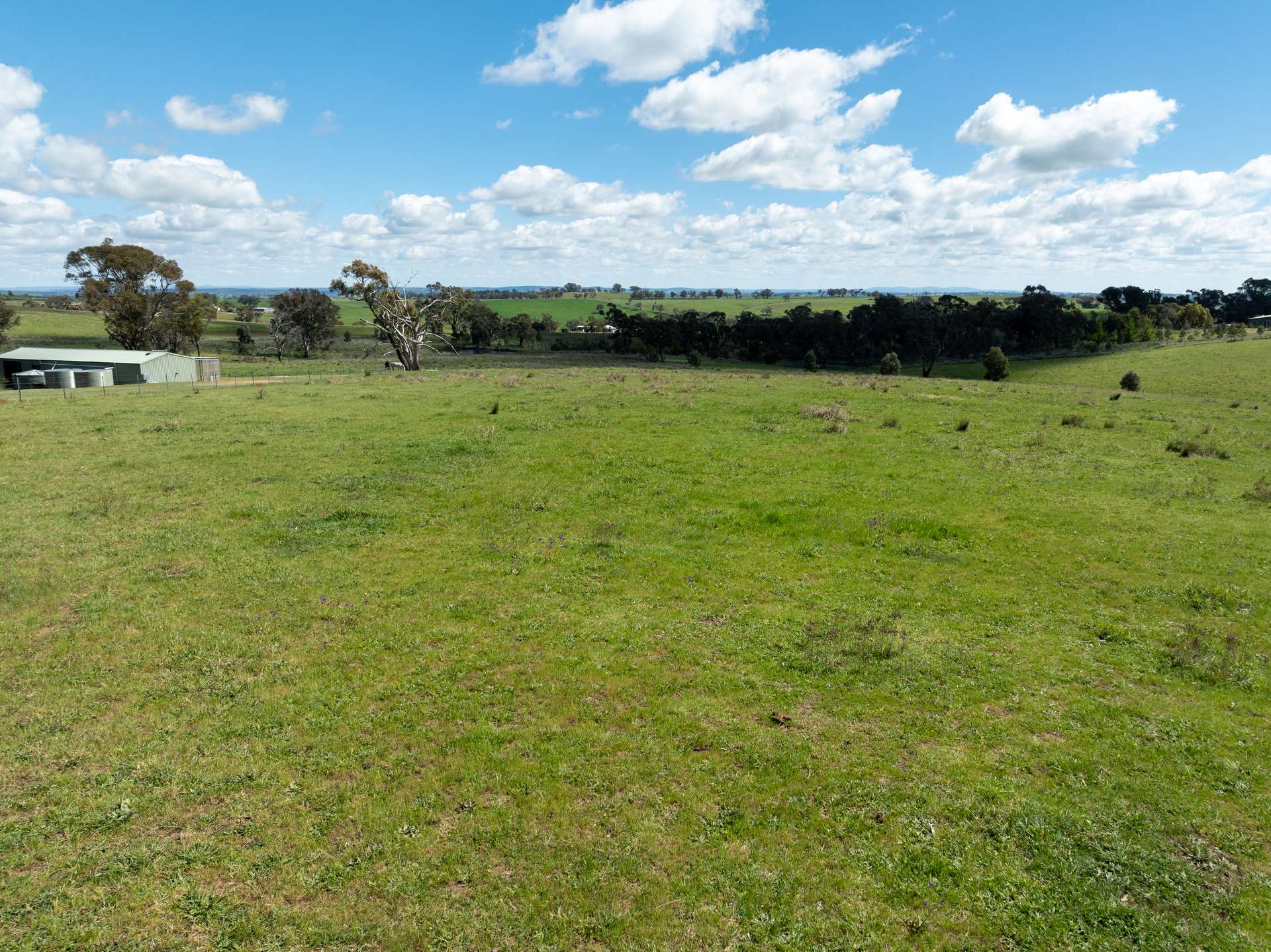 134 Lemmons Road Borenore Via, Orange Auction by Farmbuy.com - image 25