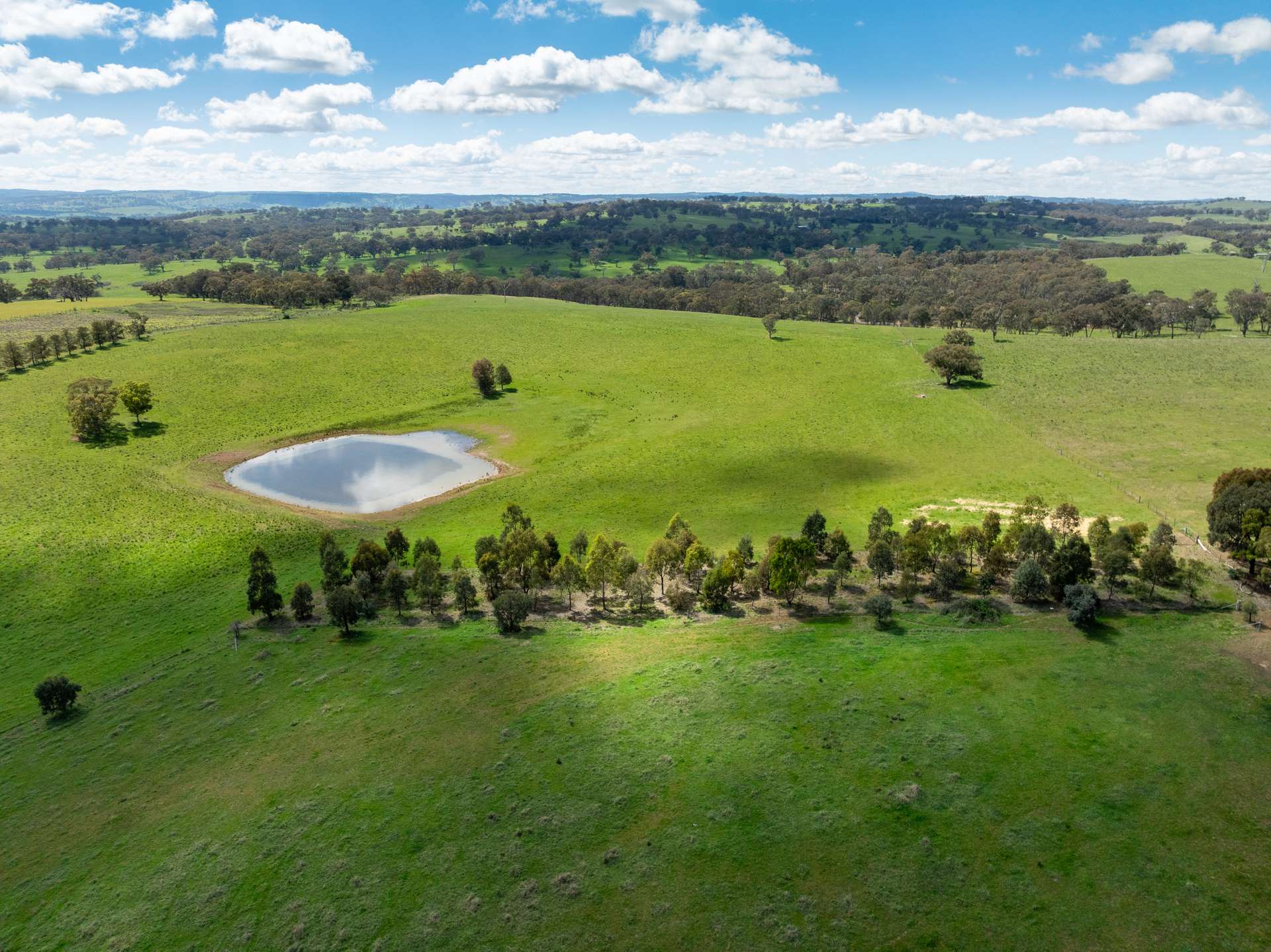 134 Lemmons Road Borenore Via, Orange Auction by Farmbuy.com - image 22