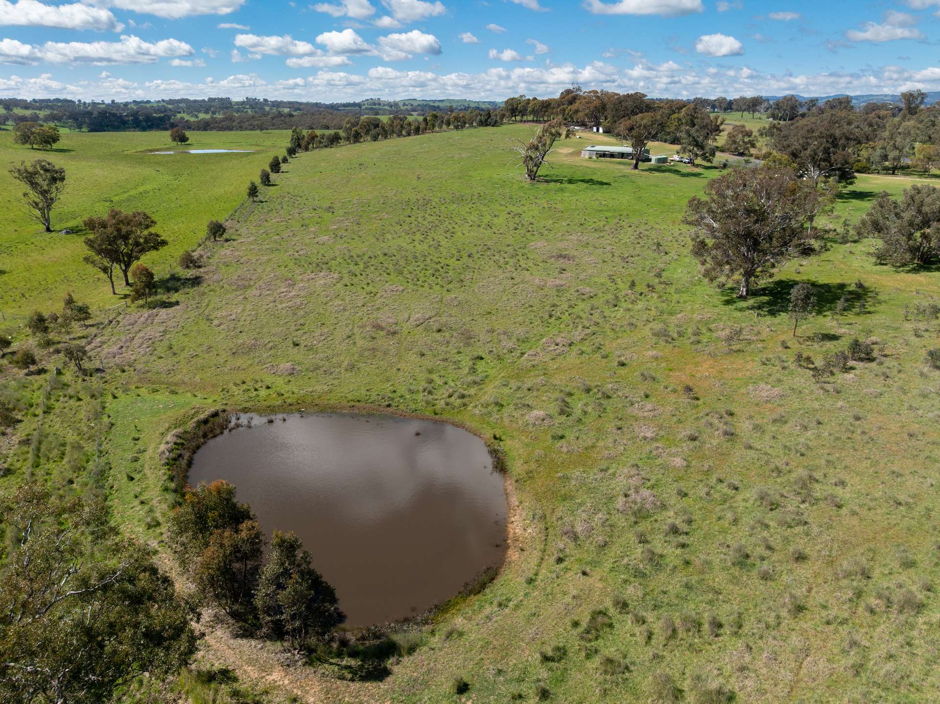 134 Lemmons Road Borenore Via, Orange Auction by Farmbuy.com - image 19