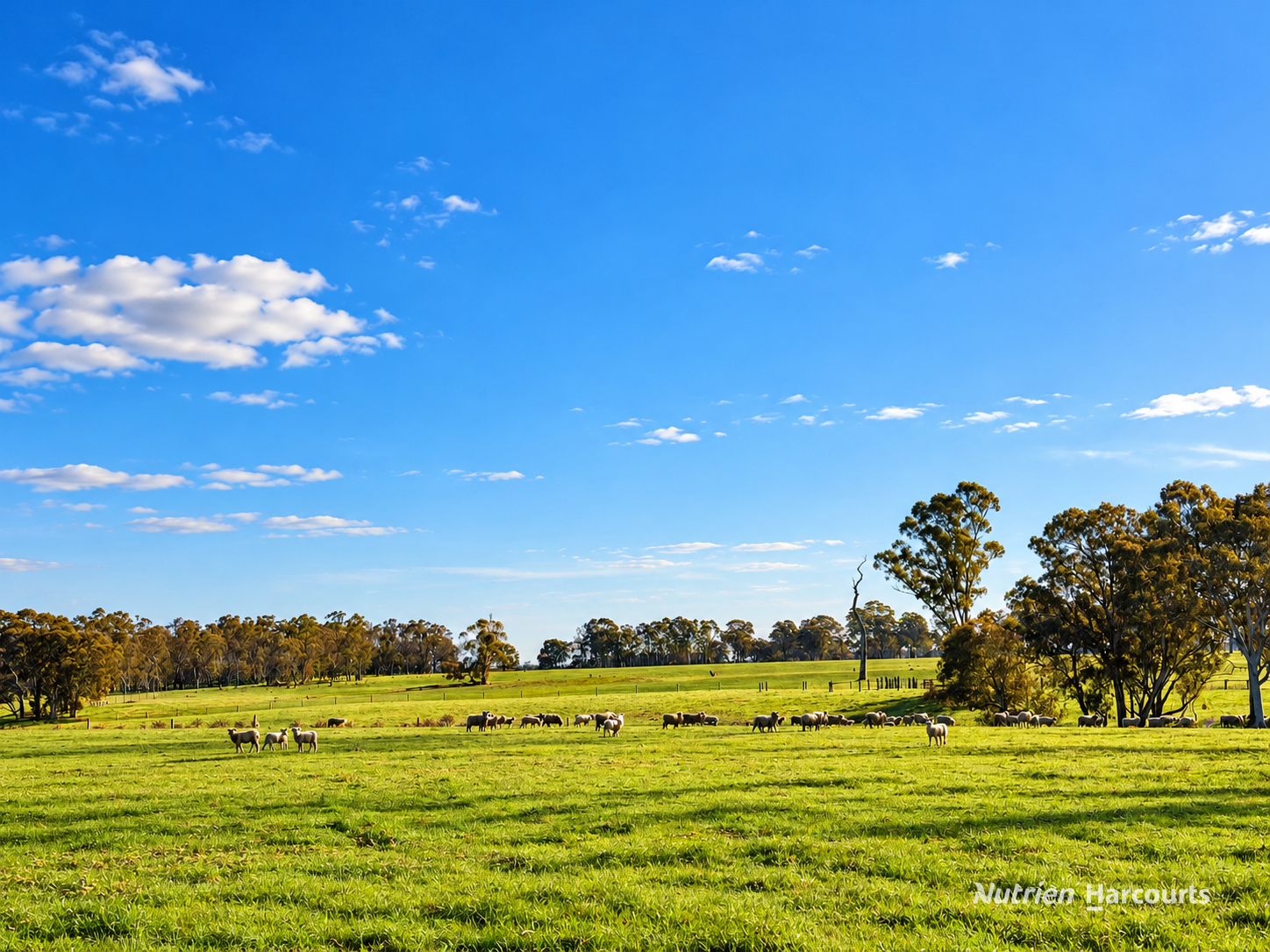 4685 Casterton - Apsley Road, Dergholm For Sale by Farmbuy.com - image 9