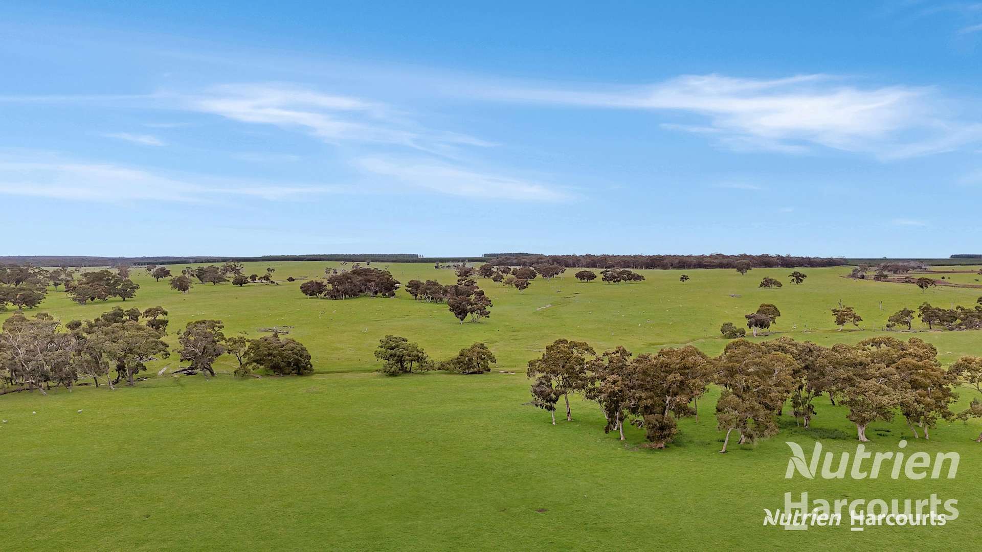4685 Casterton - Apsley Road, Dergholm For Sale by Farmbuy.com - image 11